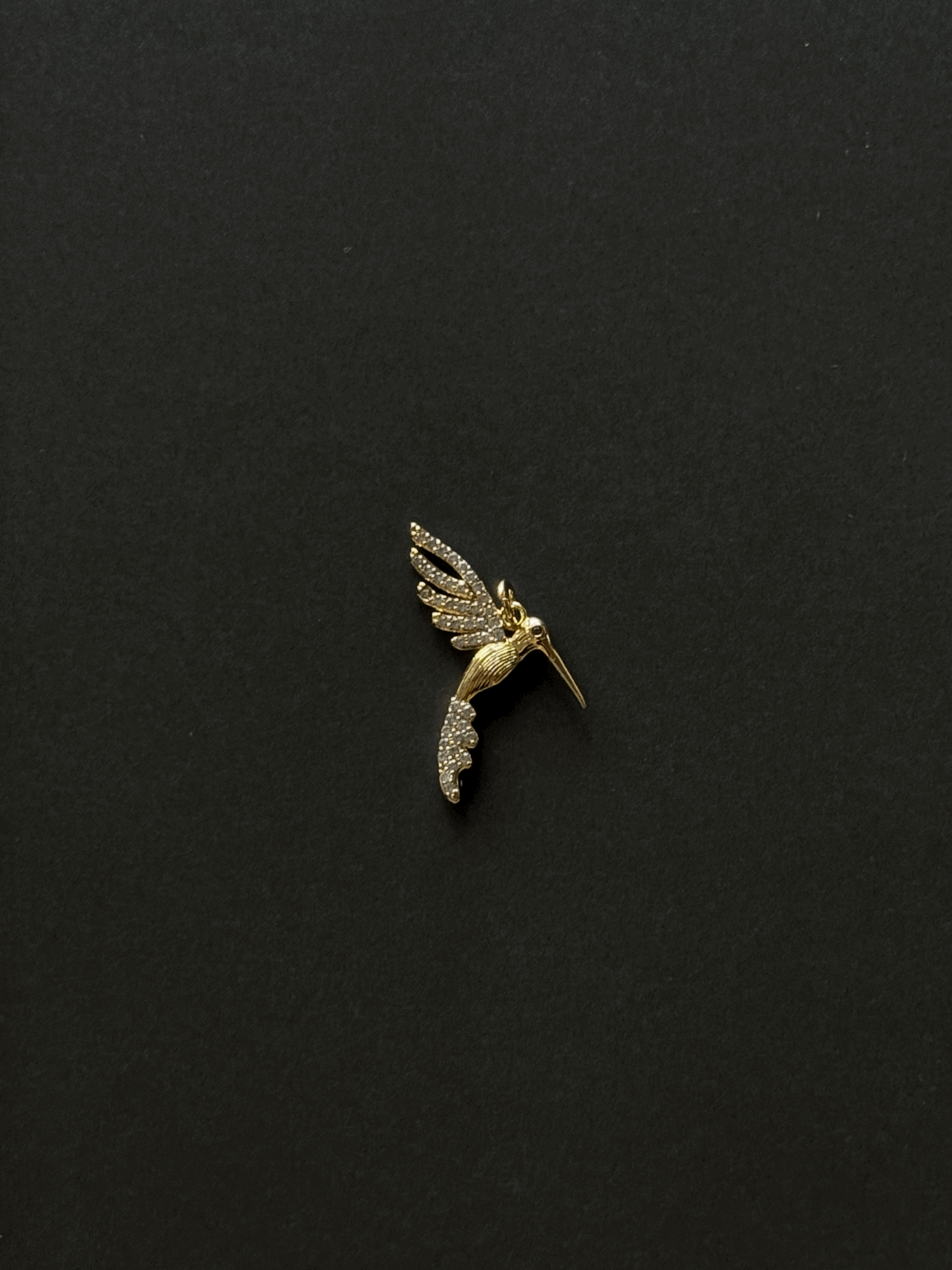 Little Hummingbird๐ธโจ