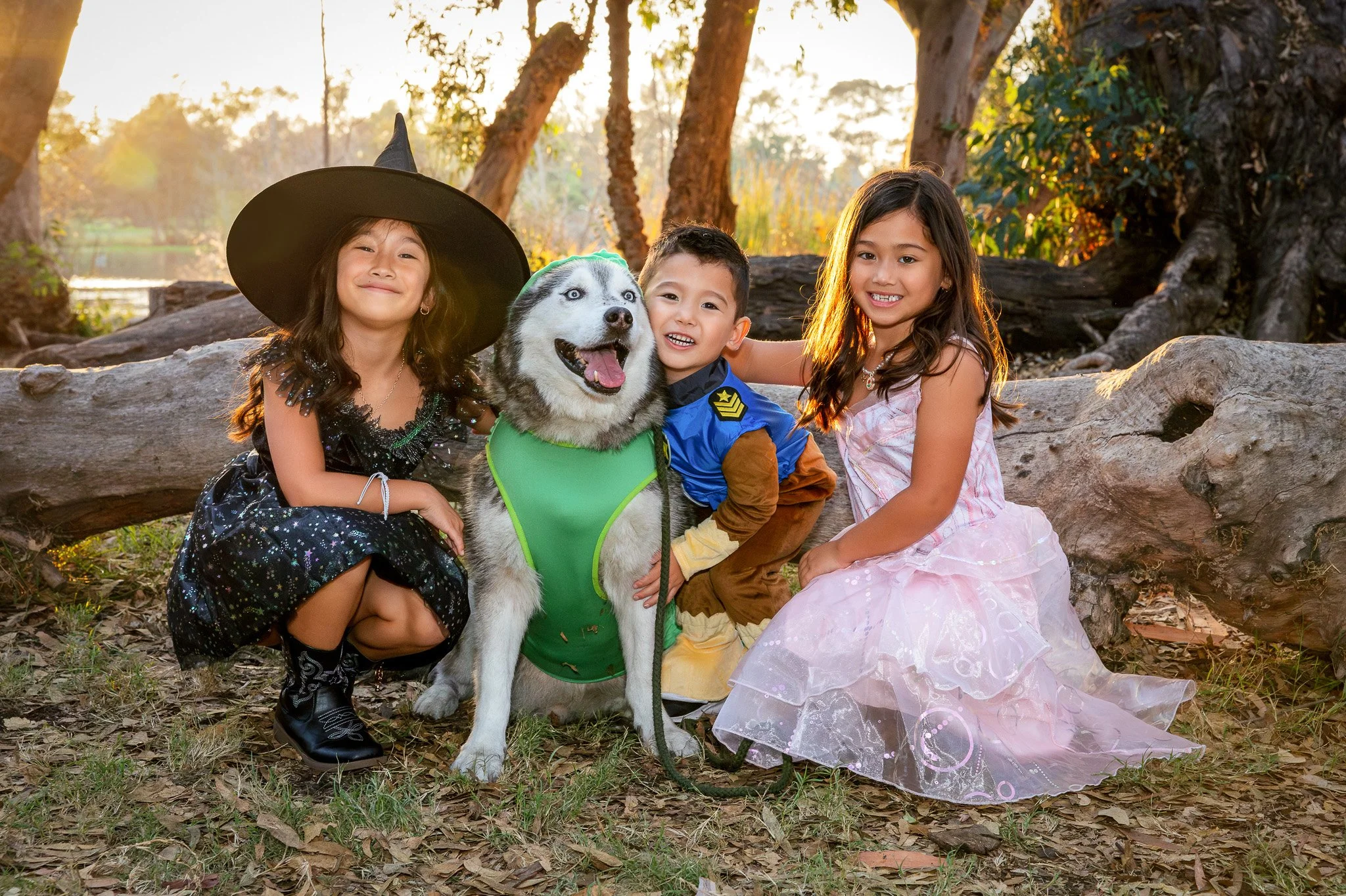 Three children in costumes sitting outdoors in a wooded area with a husky dog. One girl is dressed as a witch, one boy as a police officer, and one girl in a pink princess dress. The scene is set during sunset.