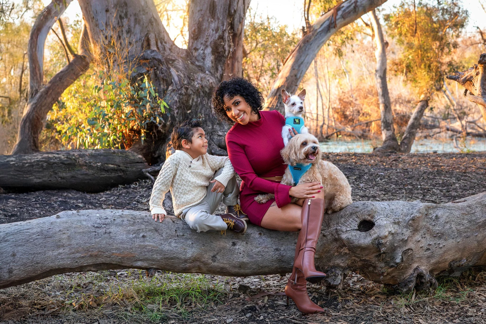 A woman with curly hair sitting on a fallen log in a wooded area with two dogs and a young boy beside her, all enjoying an outdoor setting during sunset.