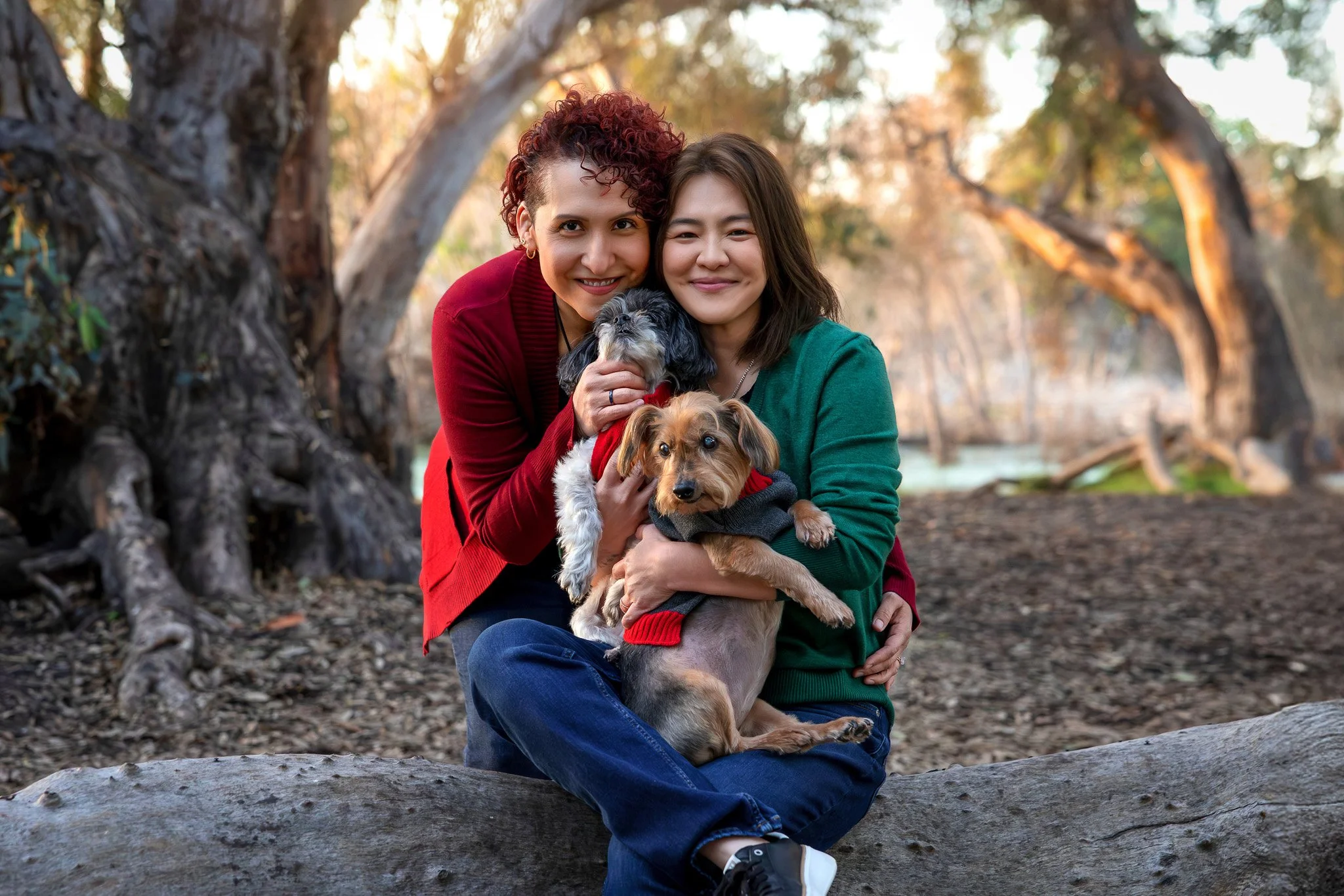 Two women sitting on a large fallen log in a wooded area during autumn, holding two dogs and smiling at the camera.