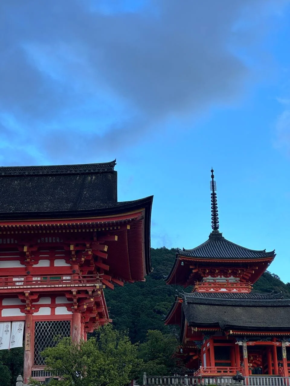 Templos tradicionales japoneses con techos curvos y detalles en rojo, con árboles y un cielo nublado en el fondo. De nuestro viaje a Japón como celíacas.