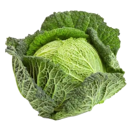 cabbage.png