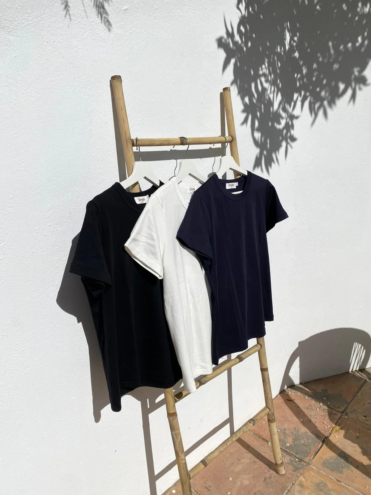 WhatsApp Image 2026-04-03 at 21.07.09.jpeg