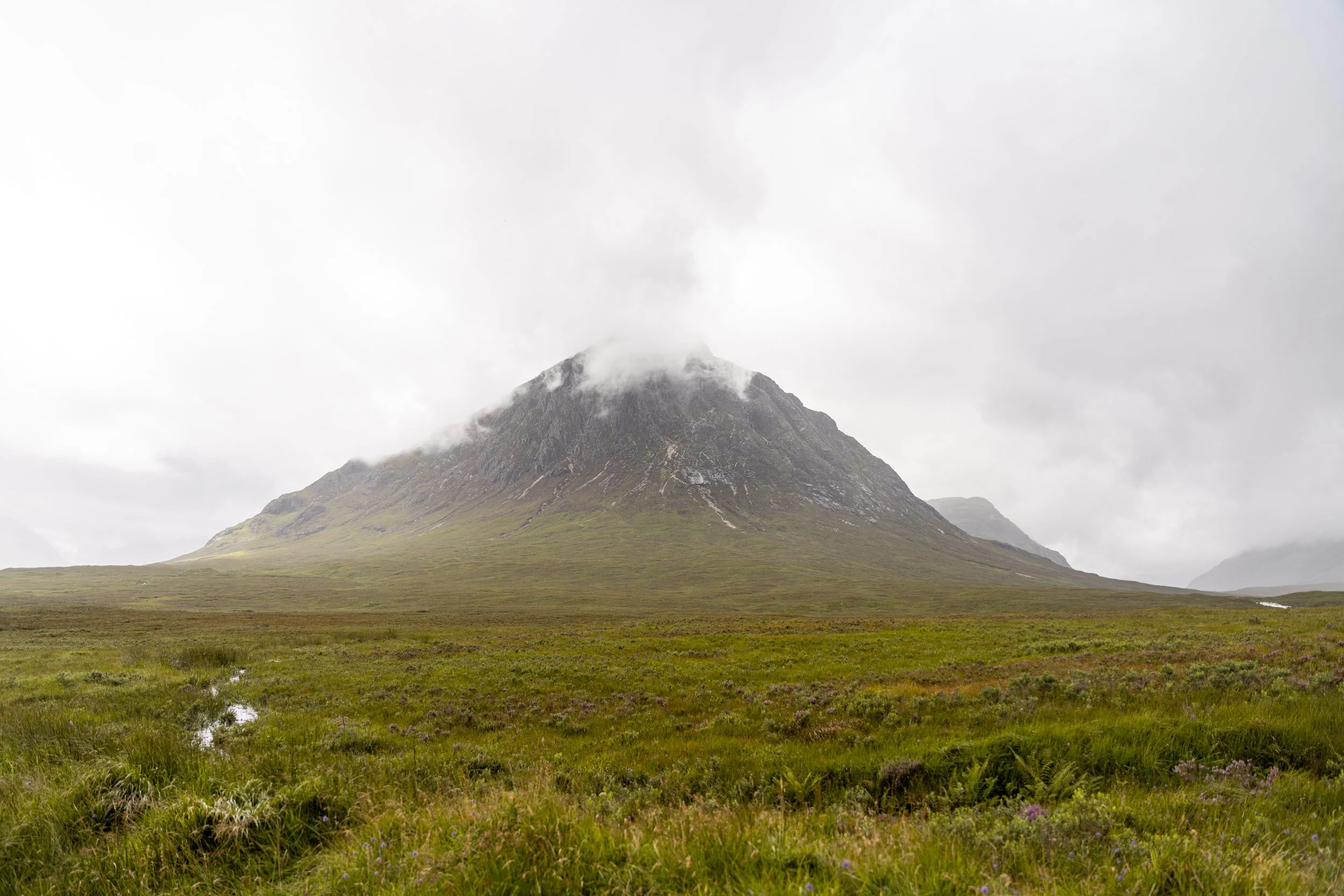 _DSC0707.jpeg