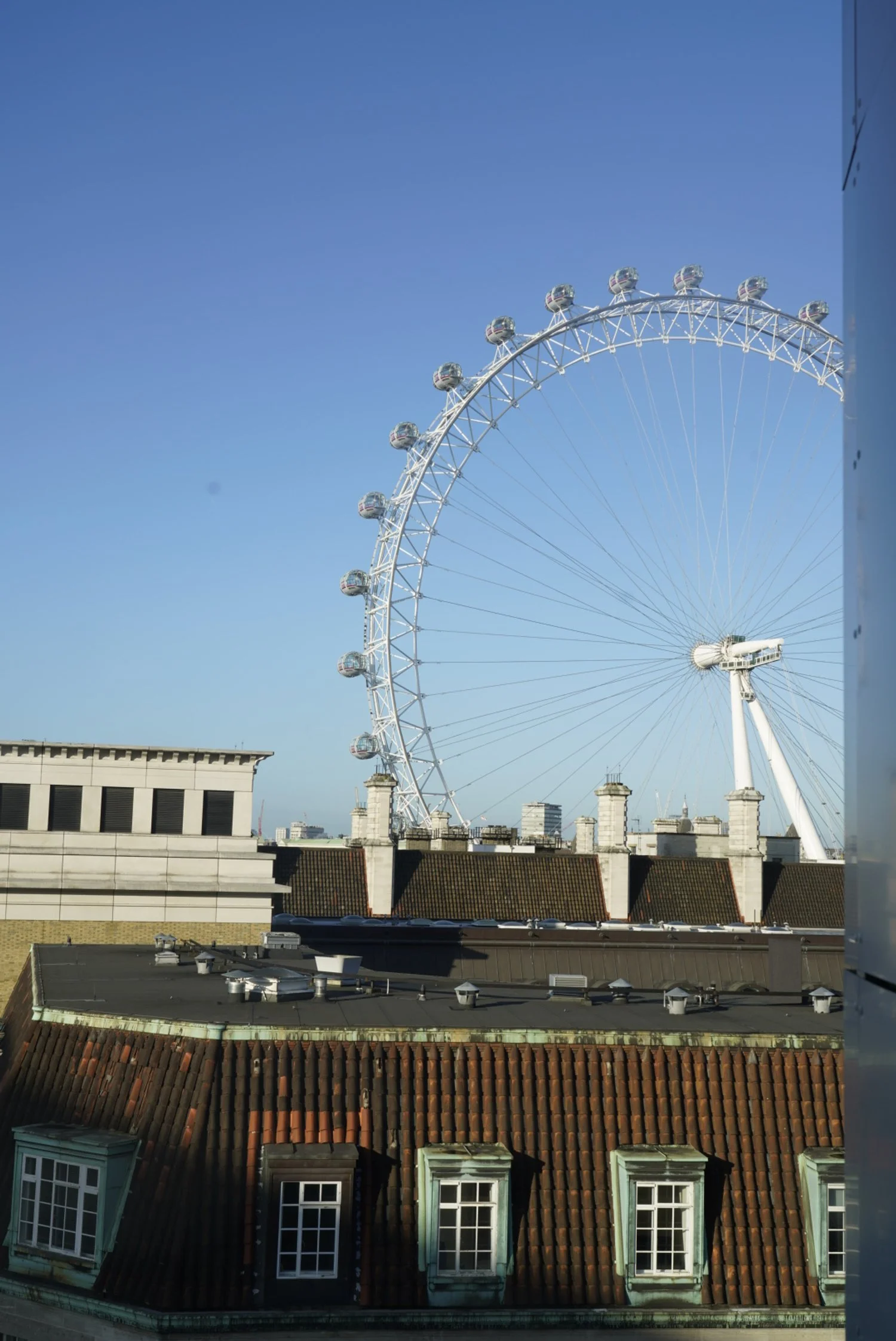 _DSC2265.jpeg
