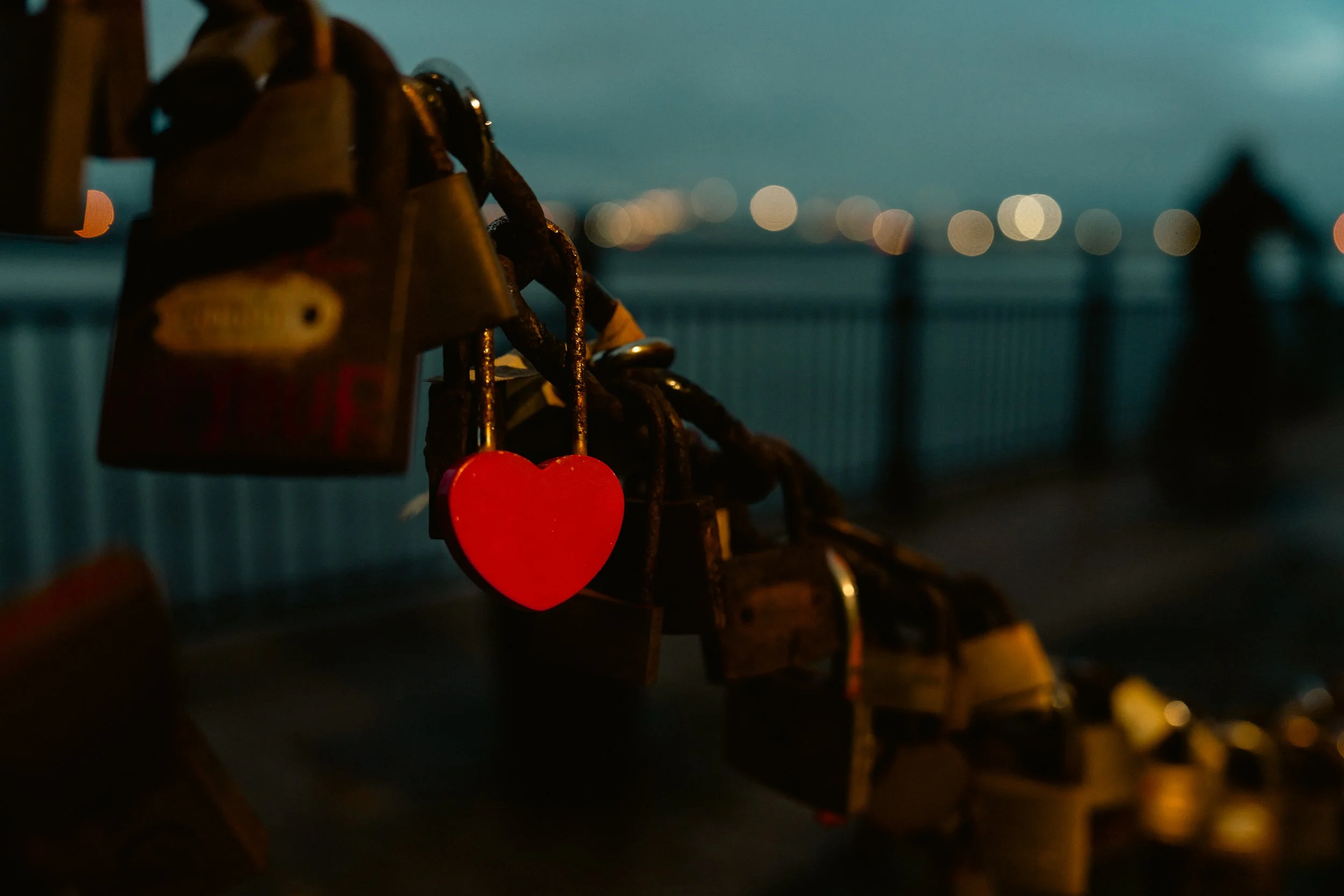 _DSC7926.jpeg