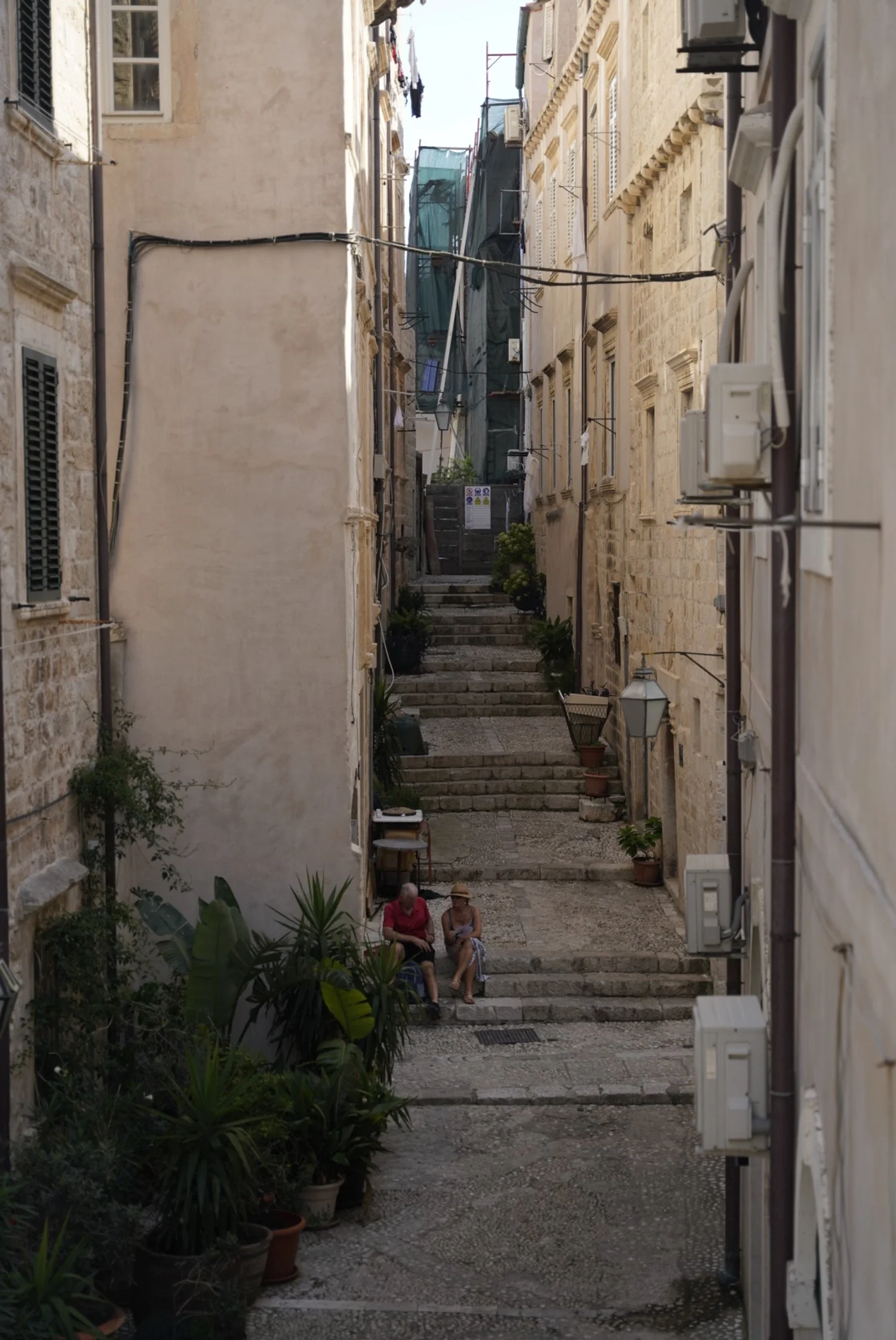 _DSC5403.jpeg