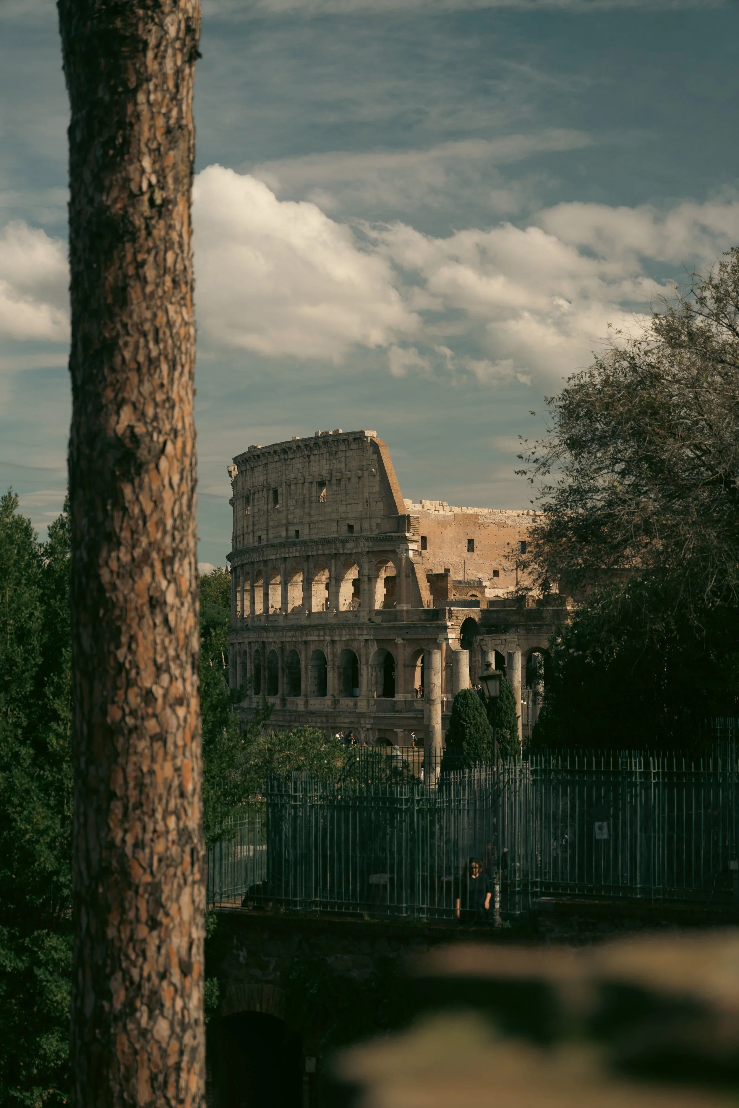 _DSC0317.jpeg