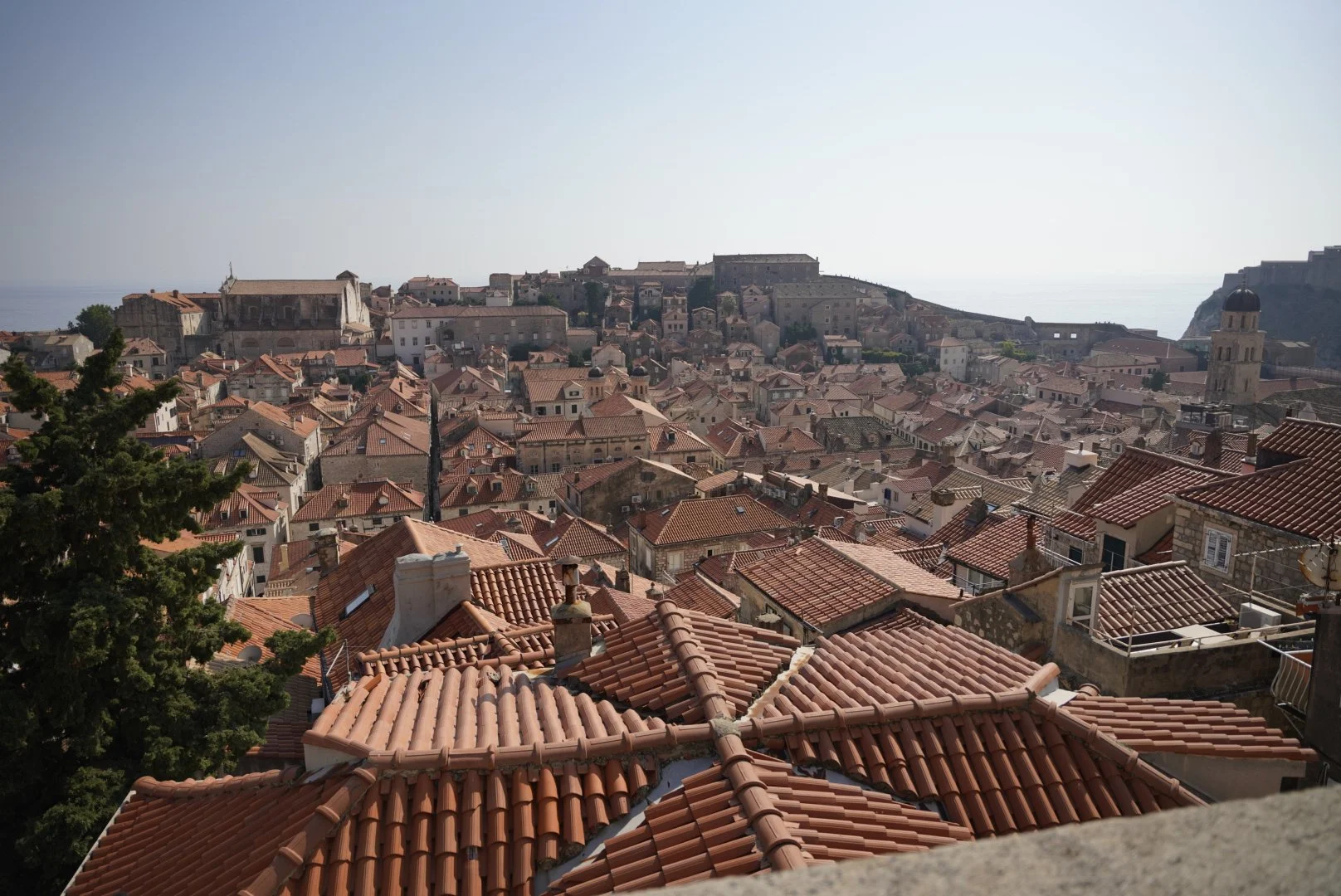 _DSC5451.jpeg