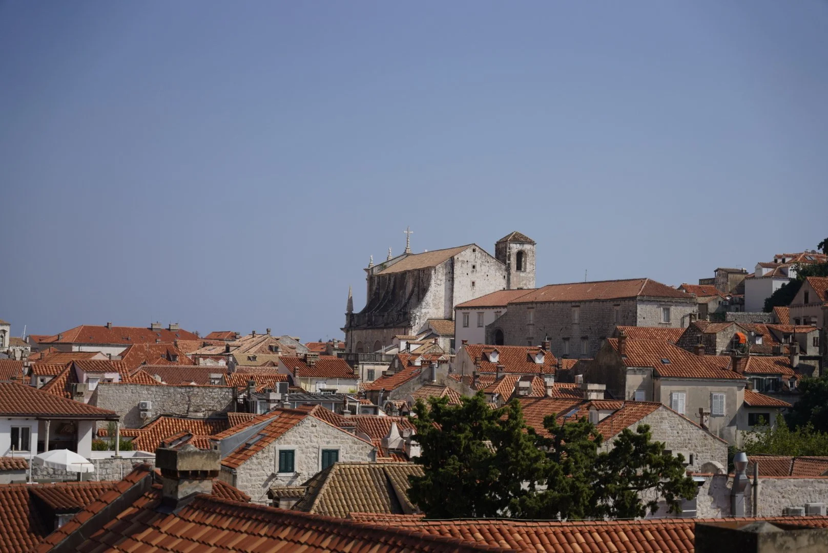 _DSC5315.jpeg