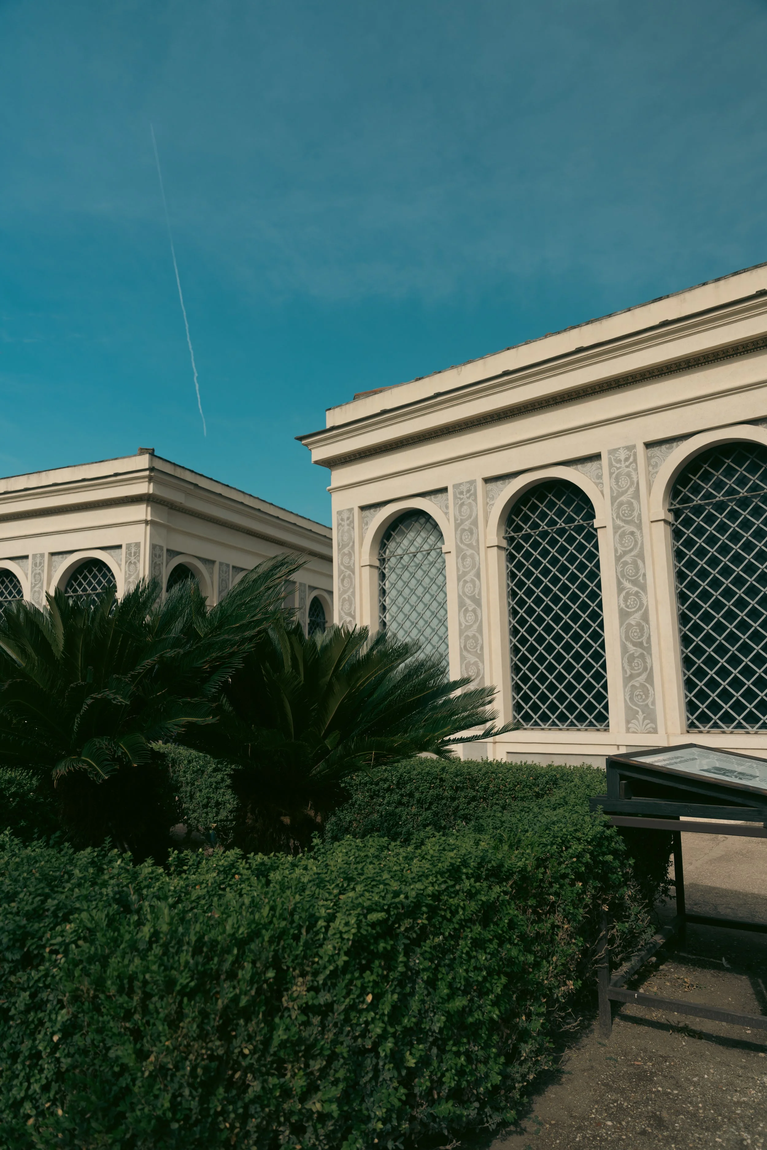 _DSC0332.jpeg