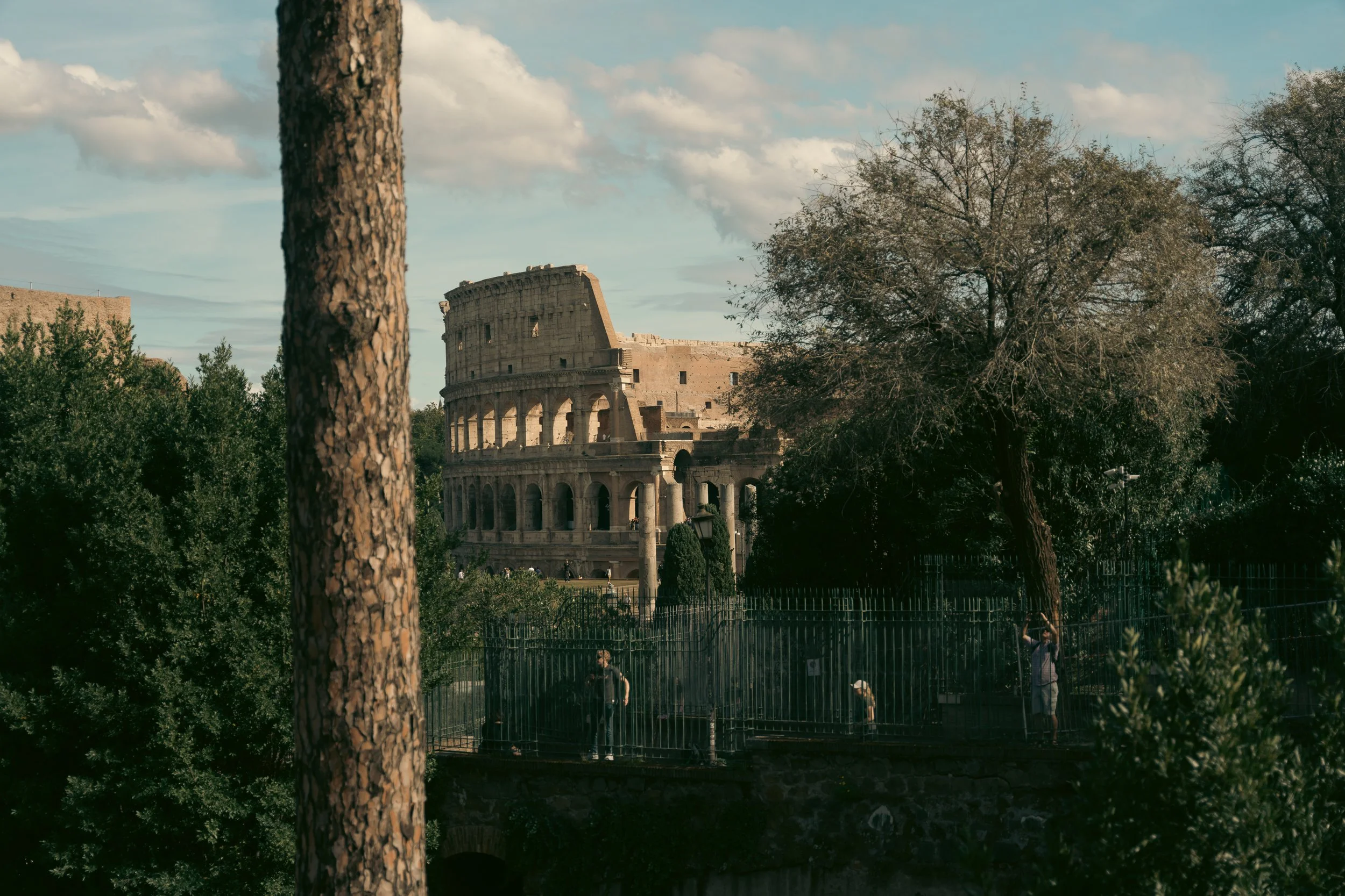 _DSC0322.jpeg