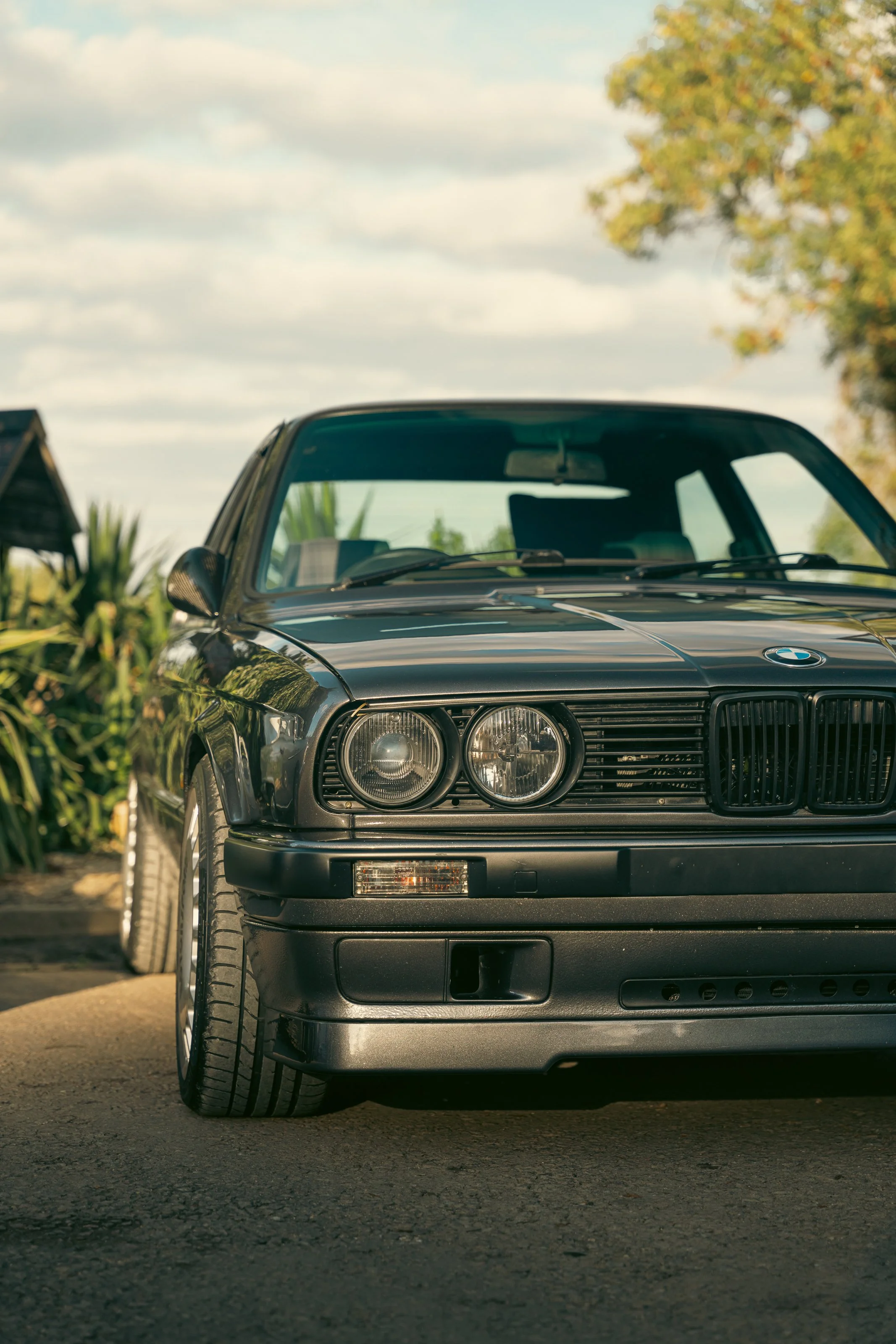 bradleys image car.jpeg