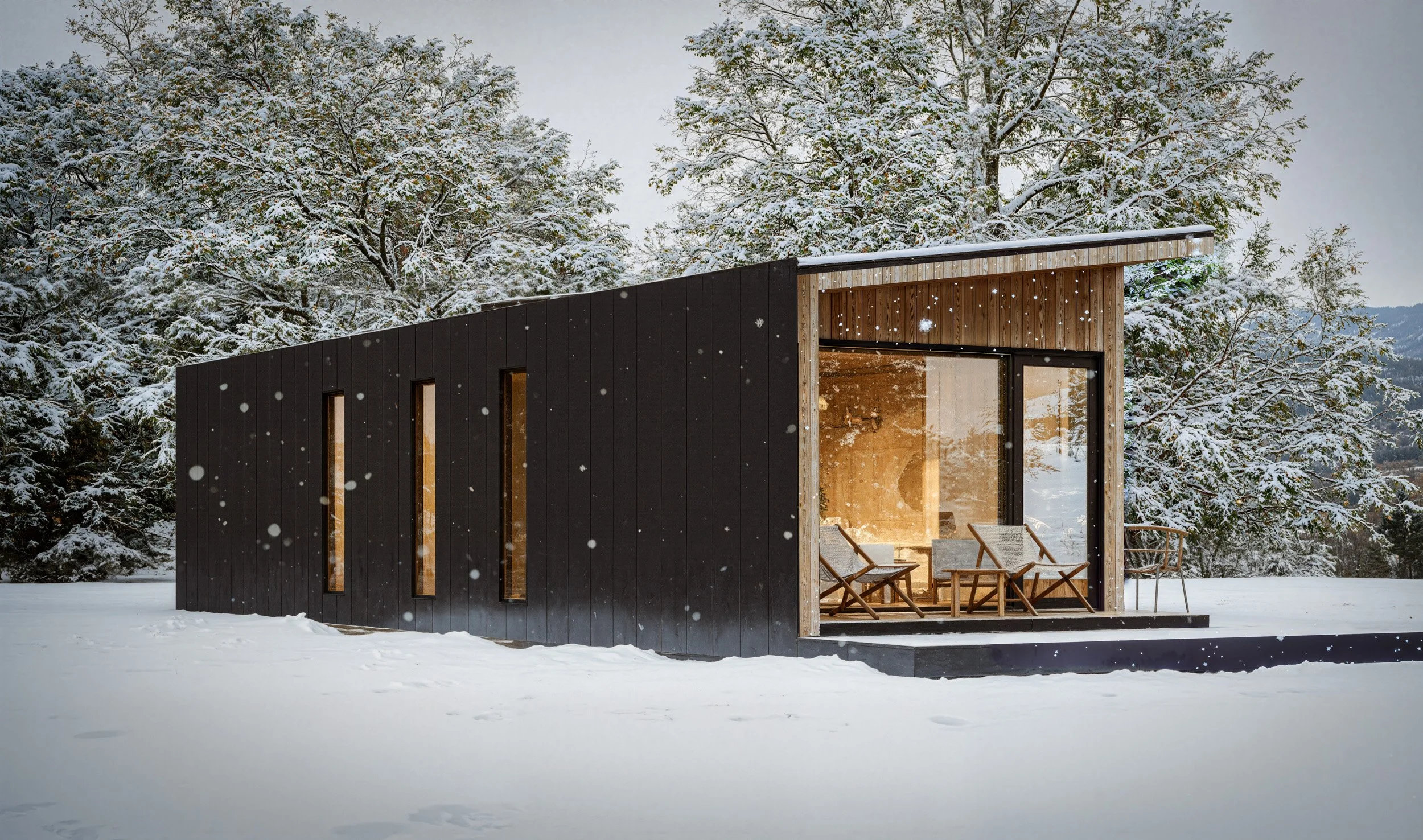 Modern house with black and wooden exterior, large glass sliding door, and snow-covered landscape with trees in the background.
