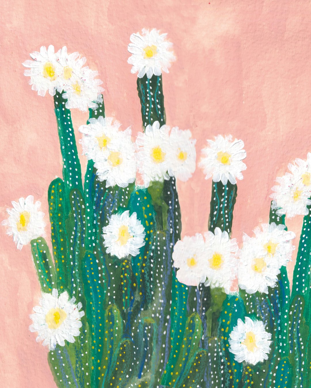 Cactus