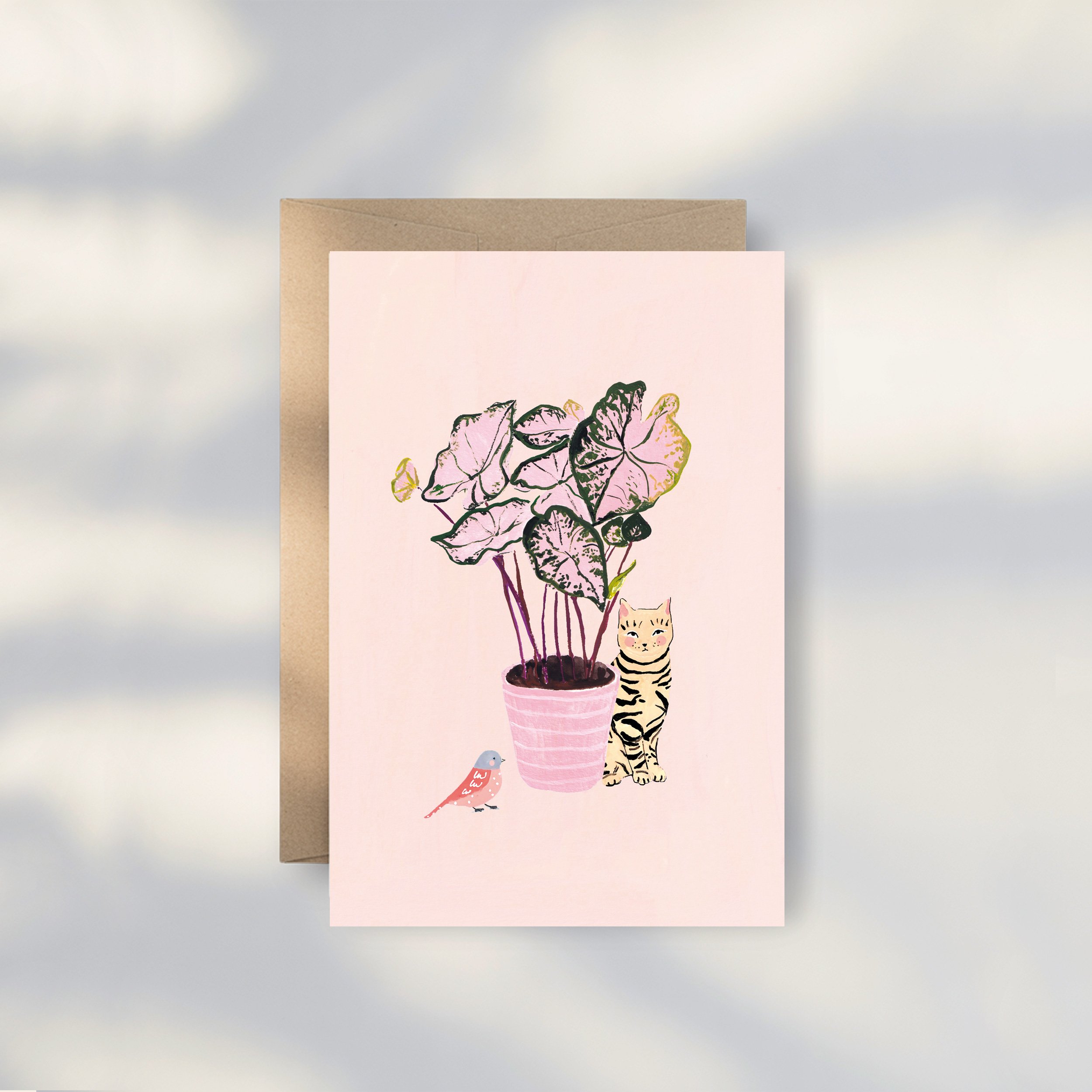🐱 CARTE - Conversation - Chat, oiseau