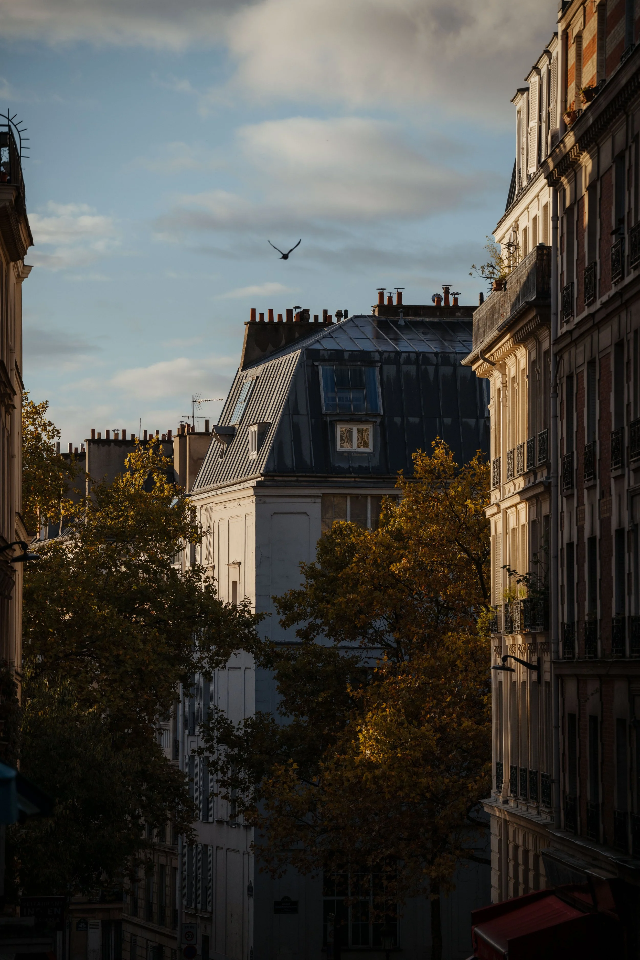 Paris-78.jpg