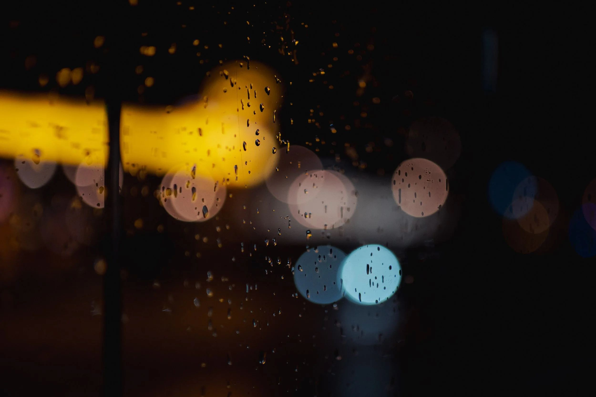NkonNight-10.jpg