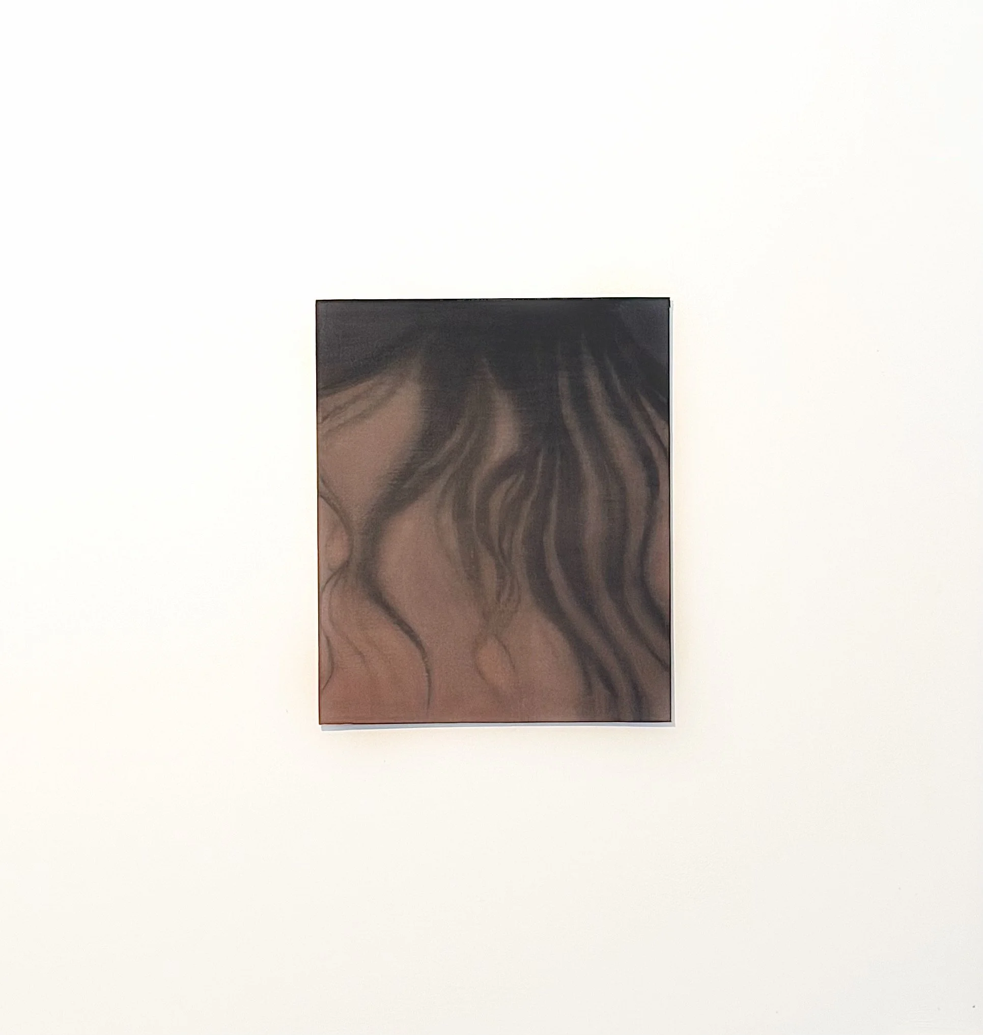 Close-up of a person with long, wavy brown hair, photographed from behind against a plain white background.