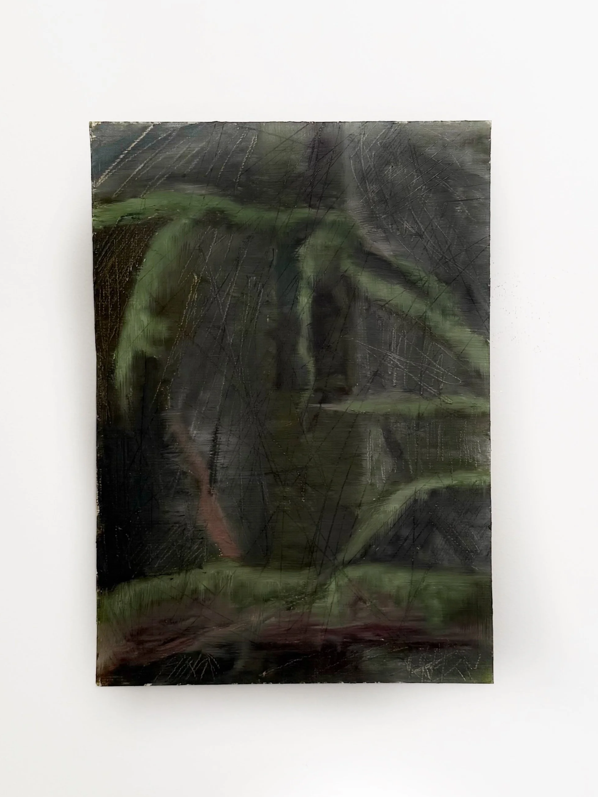 Moss