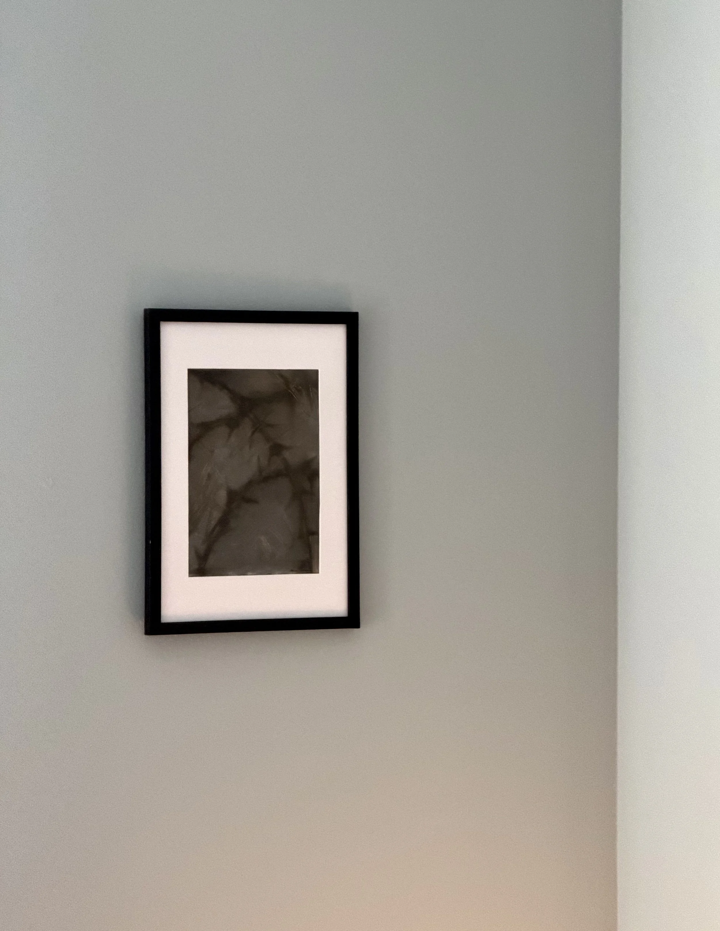 IMG_8376.jpeg