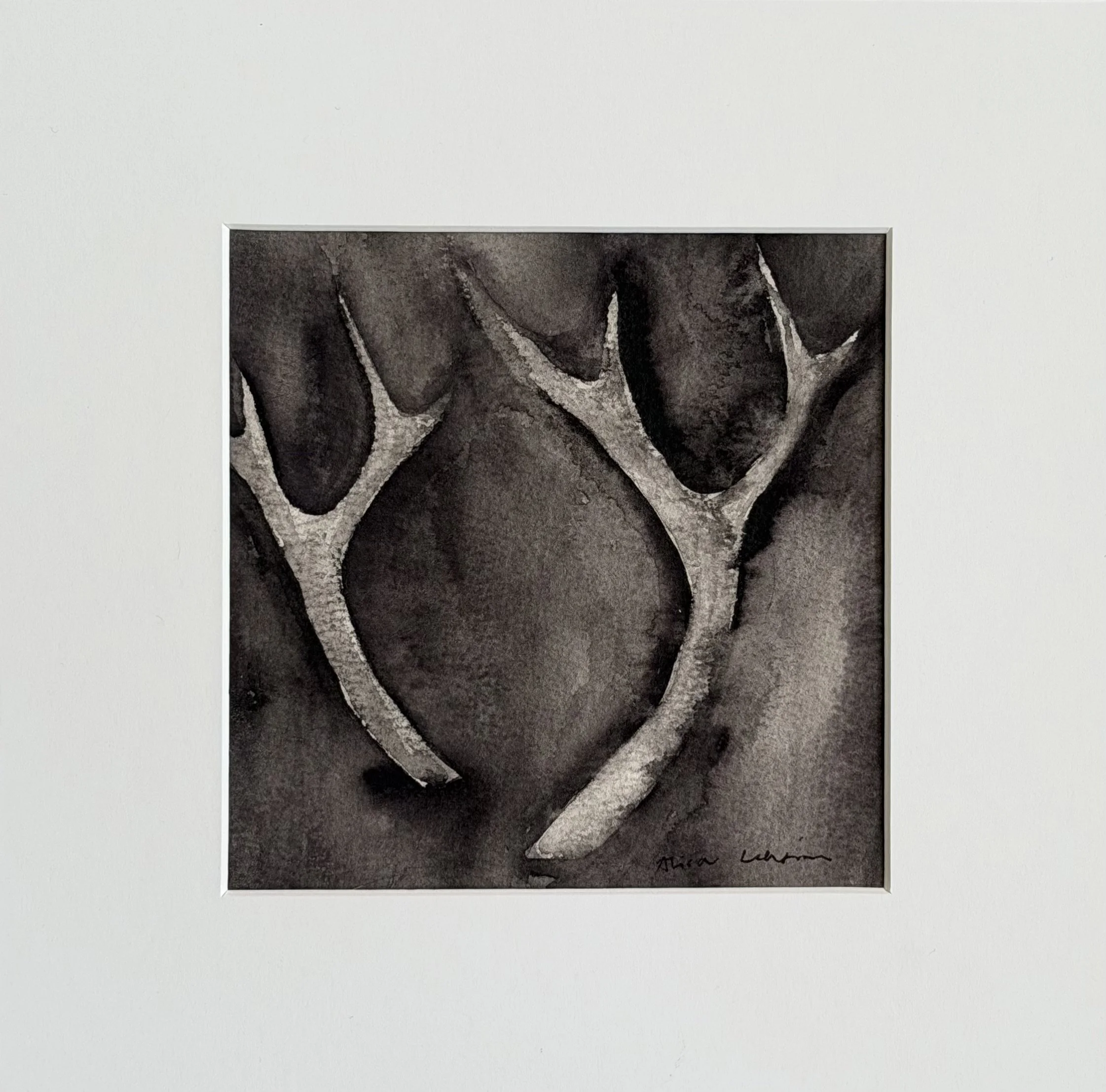 Antlers