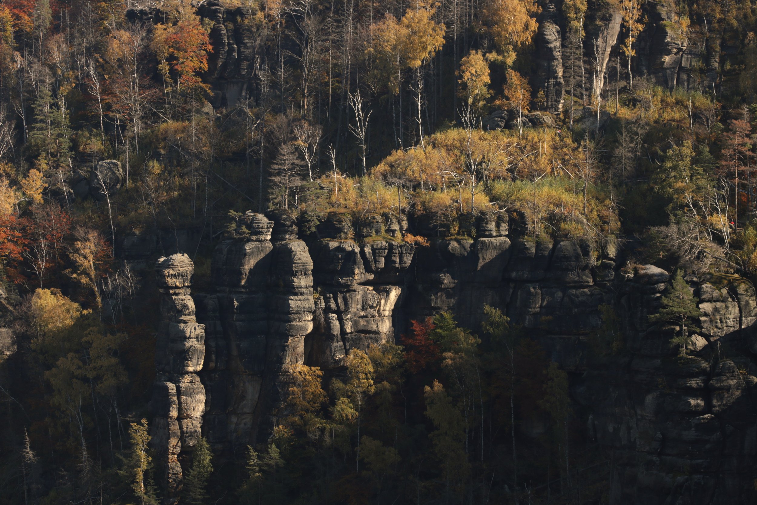 Felsen und Bäume in einem bewaldeten Gebiet im Herbst, mit gelb, orange und braun gefärbten Blättern, bei Tageslicht