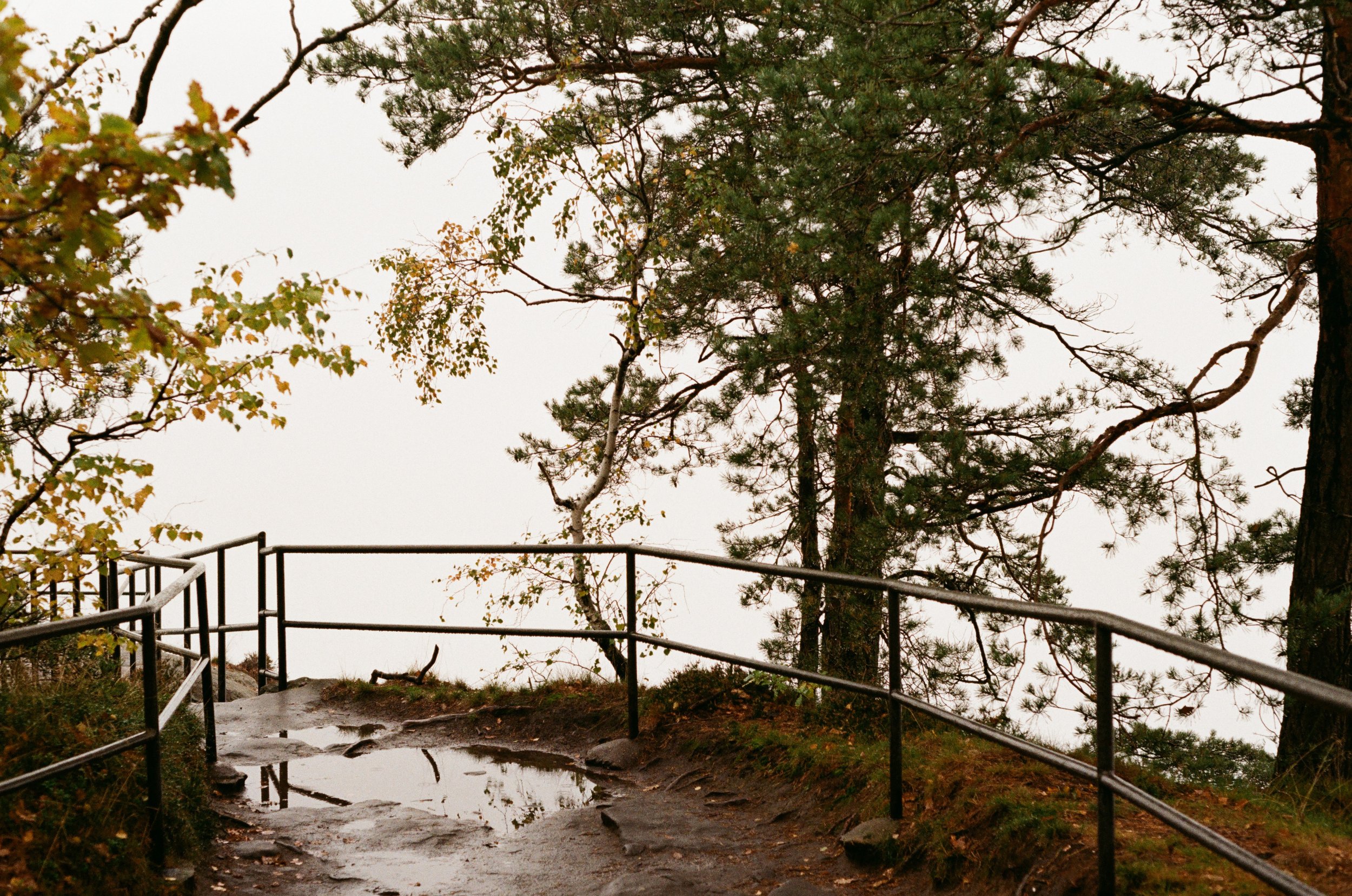 Pfad auf einem Hügel mit Geländer, durch den Regen matschig und Pfützen, umgeben von Bäumen und Nebel