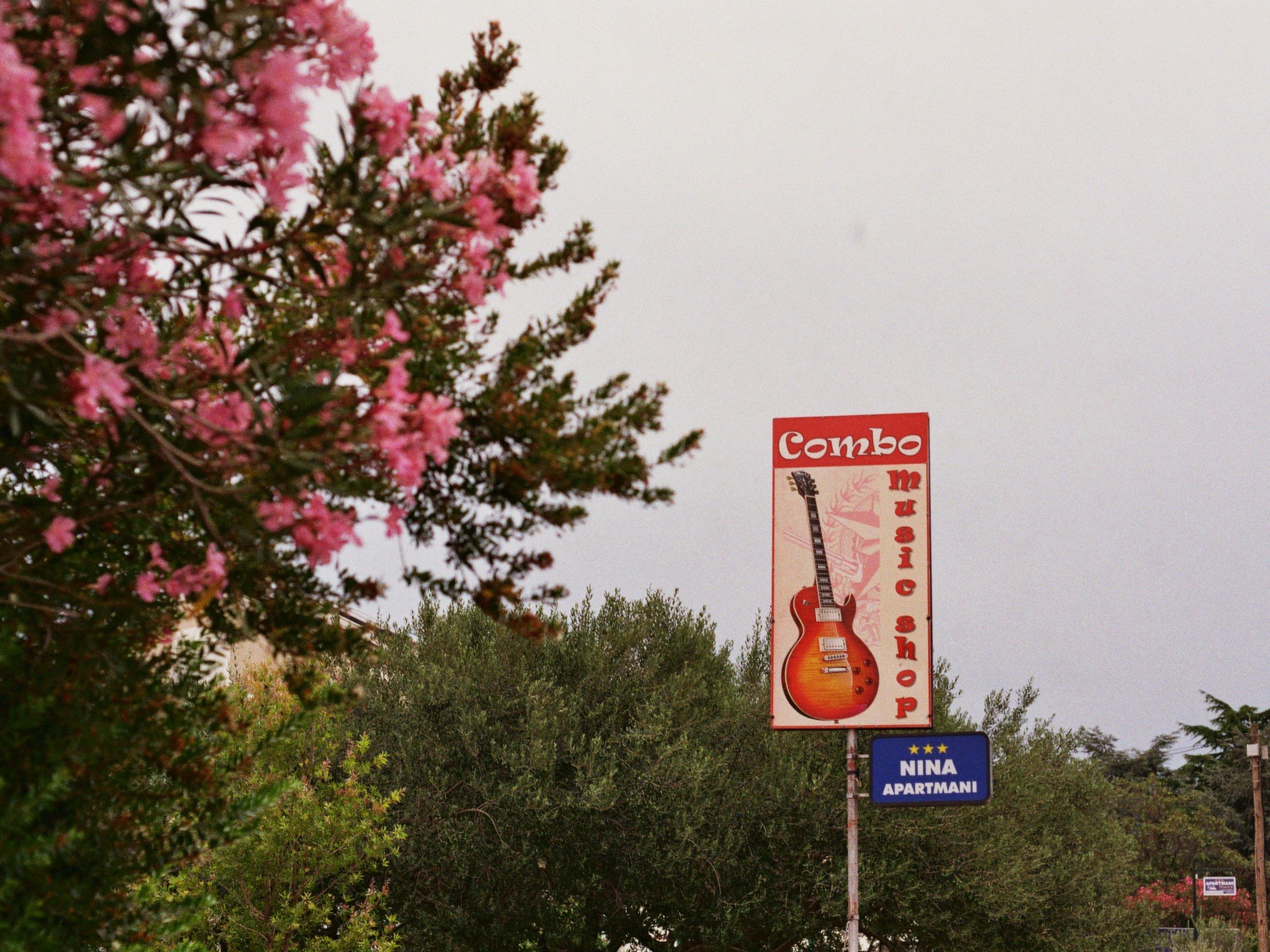 Werbetafel für einen Musik- und Gitarrenschop, mit einem großen Bild einer E-Gitarre, in der Nähe von einem Baum mit rosa Blüten.