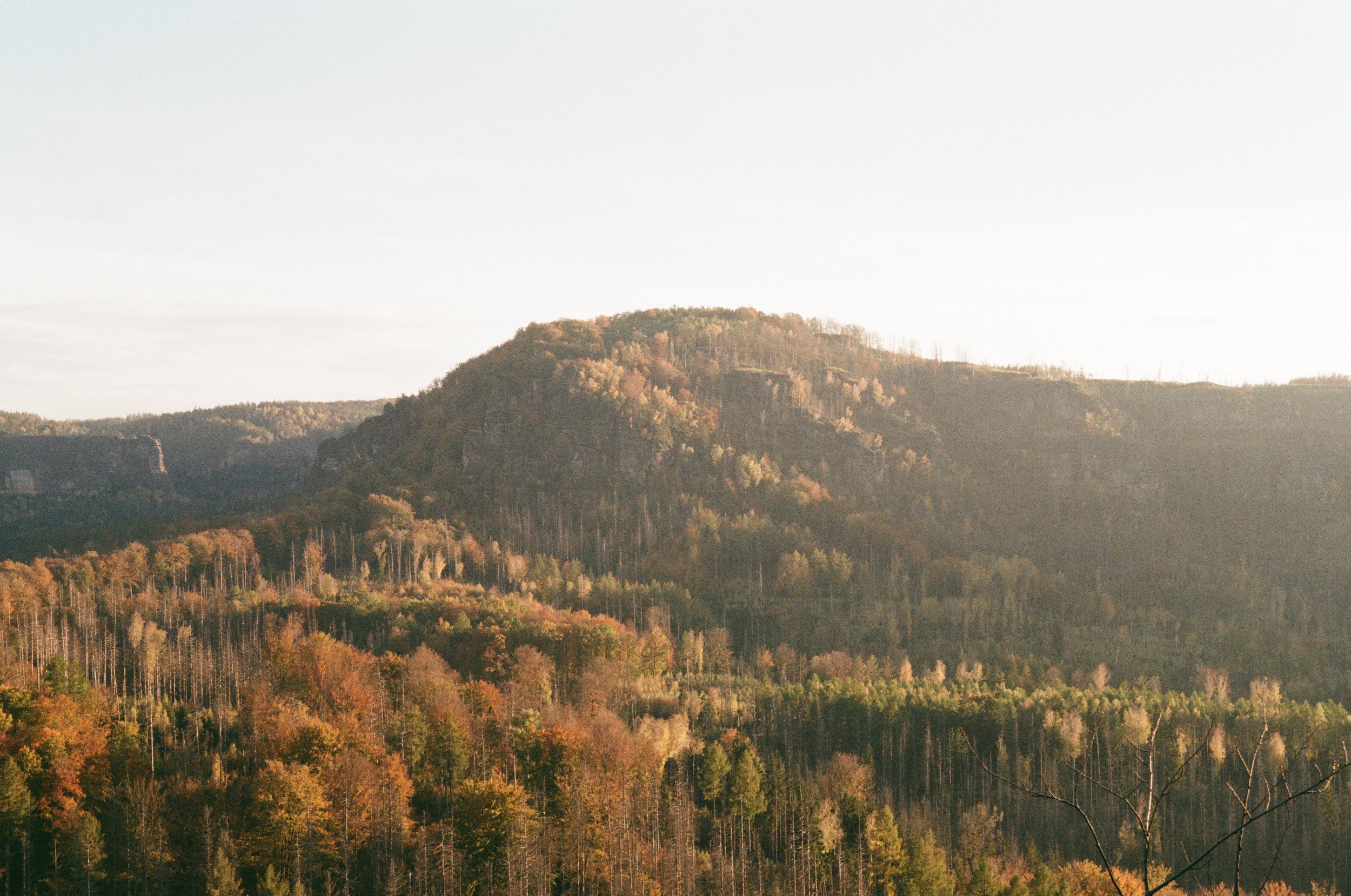 Landschaft mit Hügeln und Wäldern im Herbst, unter hellem Himmel