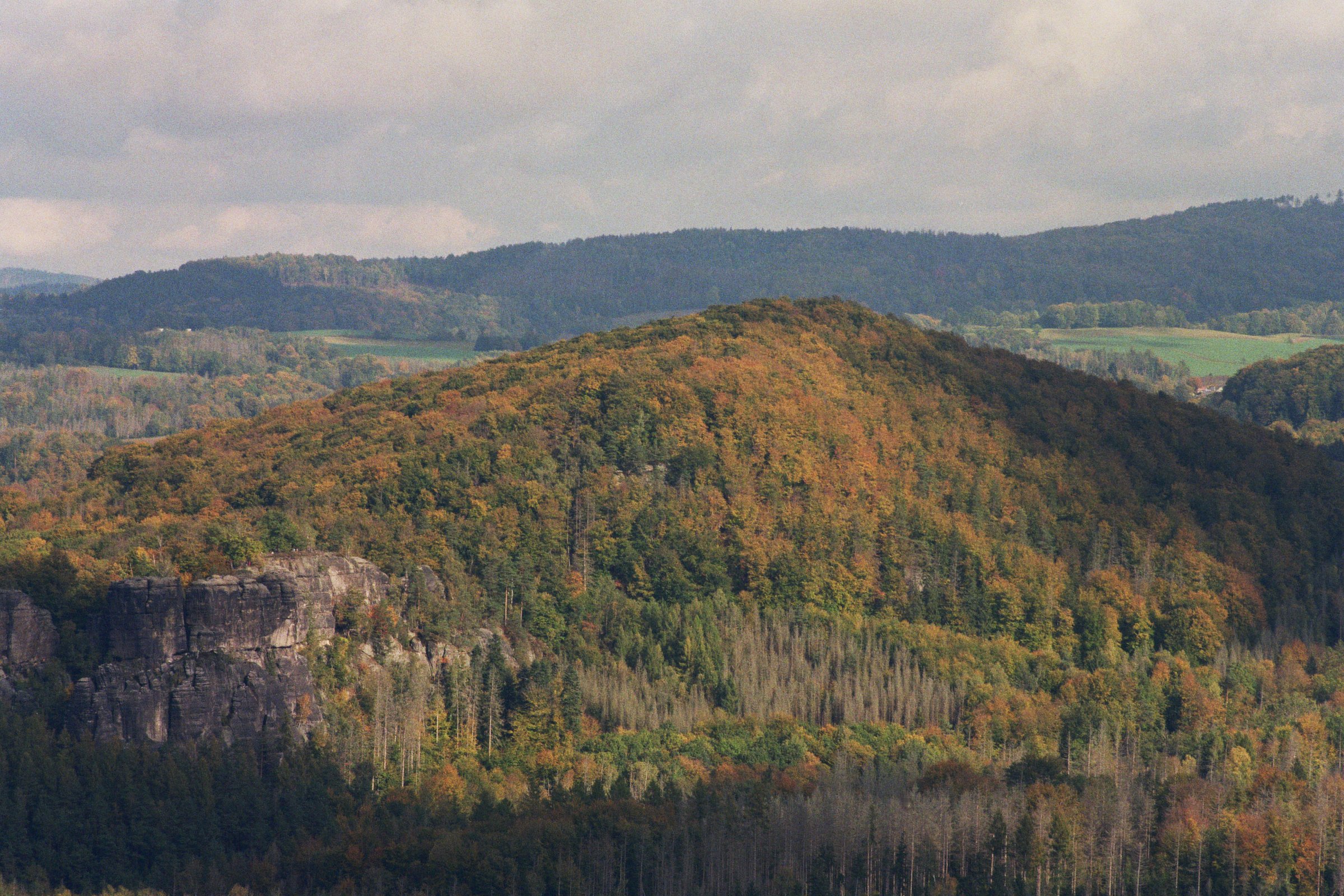 Berg im Naturschutzgebiet mit bewaldeter Hügellandschaft und Felsen im Vordergrund, unter einem bewölkten Himmel.
