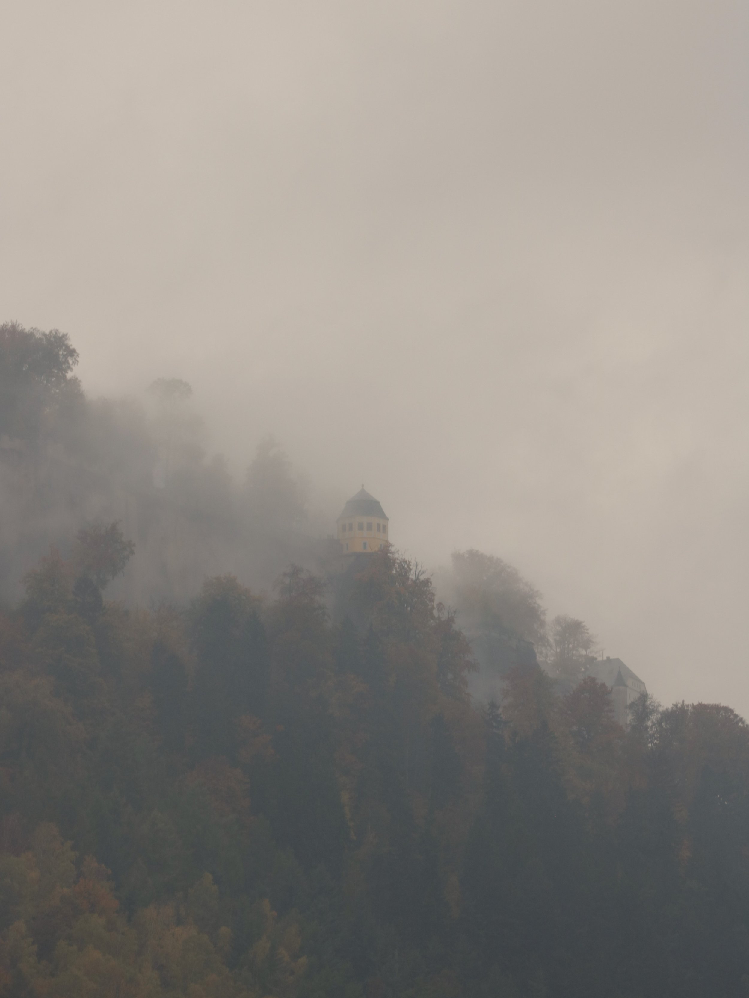 Ein Haus auf einem Hügel, umgeben von Nebel und Bäumen, in einer nebelverhangenen Landschaft.