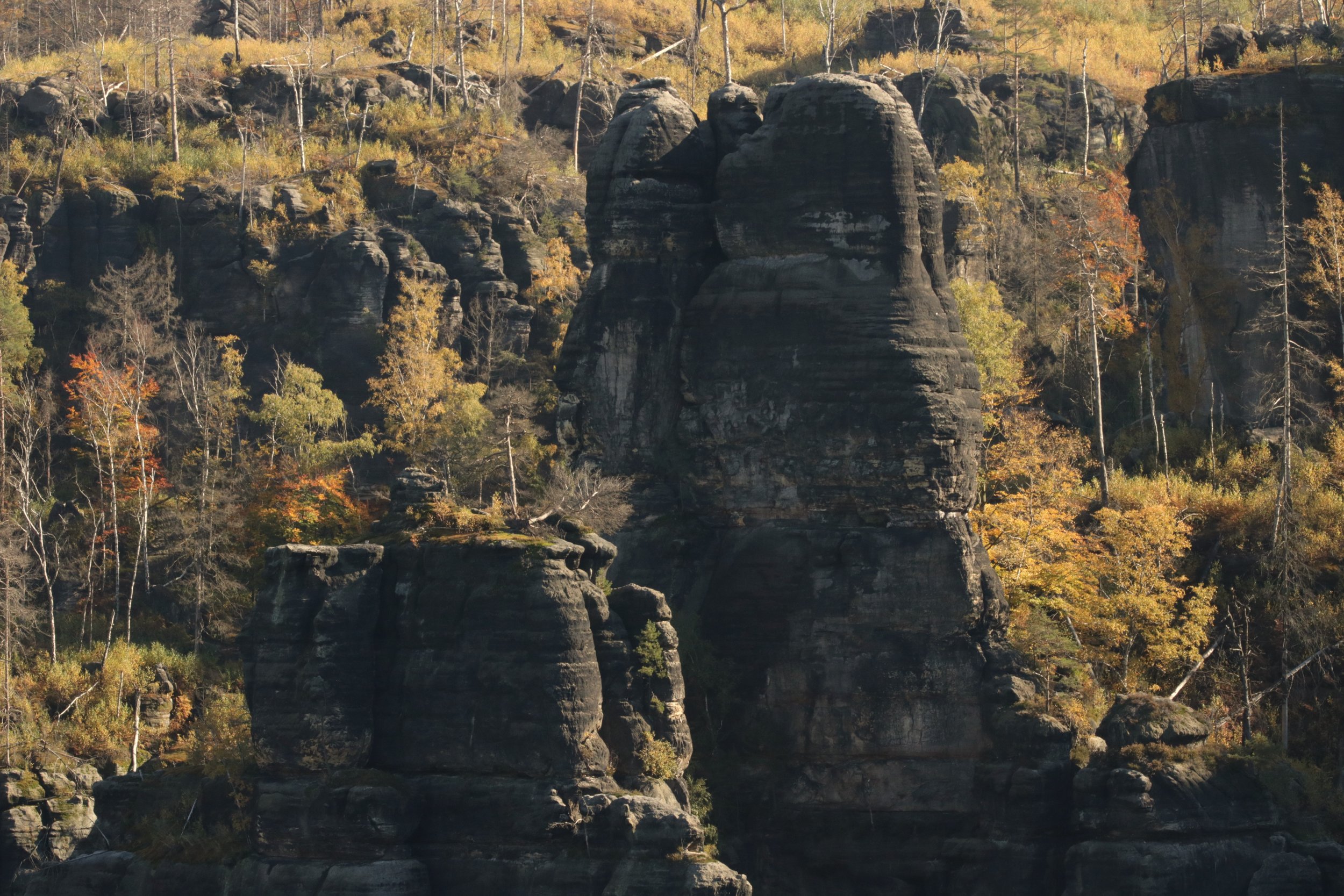 Felsformationen und Herbstbäume in einem Nationalpark.