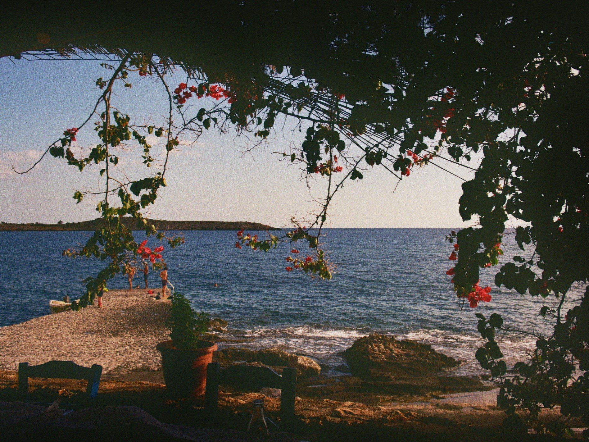 Blick auf das Meer durch einen Baum mit roten Blüten, im Vordergrund eine Terrasse mit Tischen und Stühlen, am Ufer stehen Menschen am Strand, Felsen im Wasser.