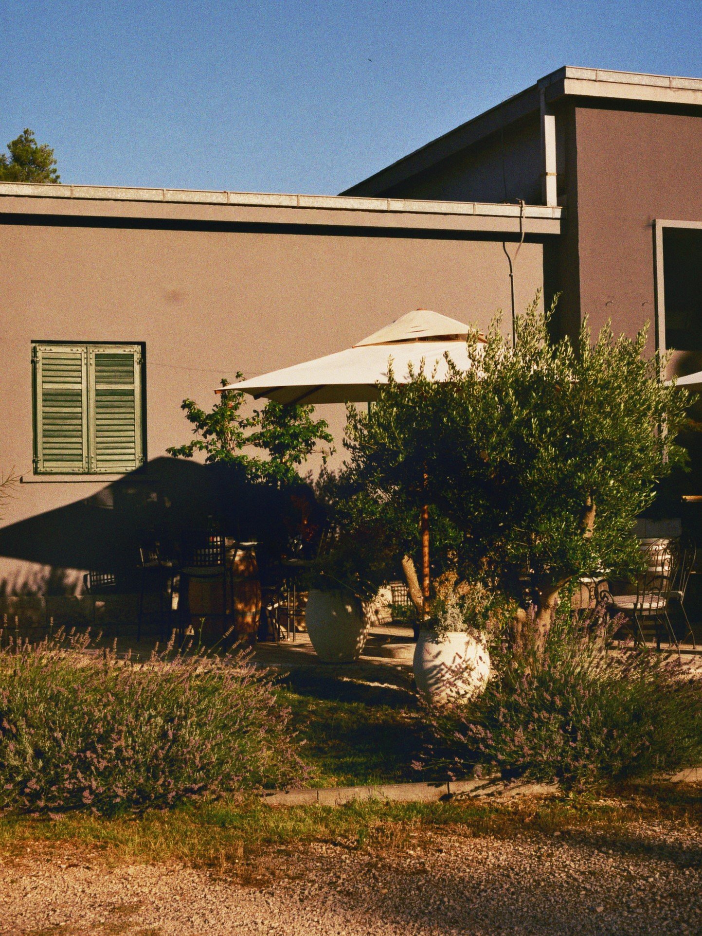 Ein Außenbereich mit einem Schatten spendenden Sonnenschirm, einem Baum, umgeben von Pflanzen, und Sitzgelegenheiten vor einer modernen, mehrstöckigen Gebäudefassade unter klarem Himmel.