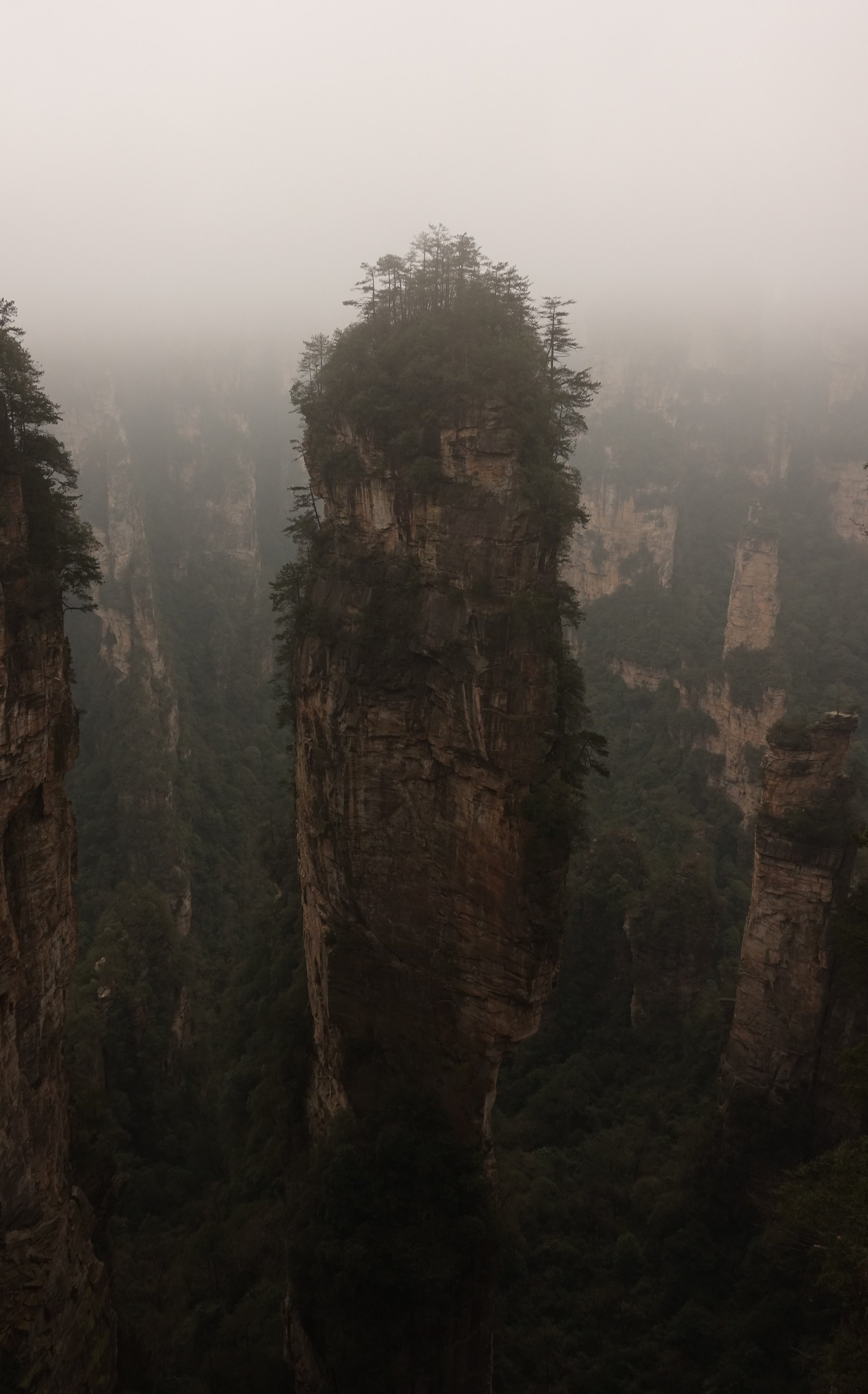 Felsformationen im Zhangjiajie Nationalpark, China, umgeben von Nebel und grünen Wäldern.
