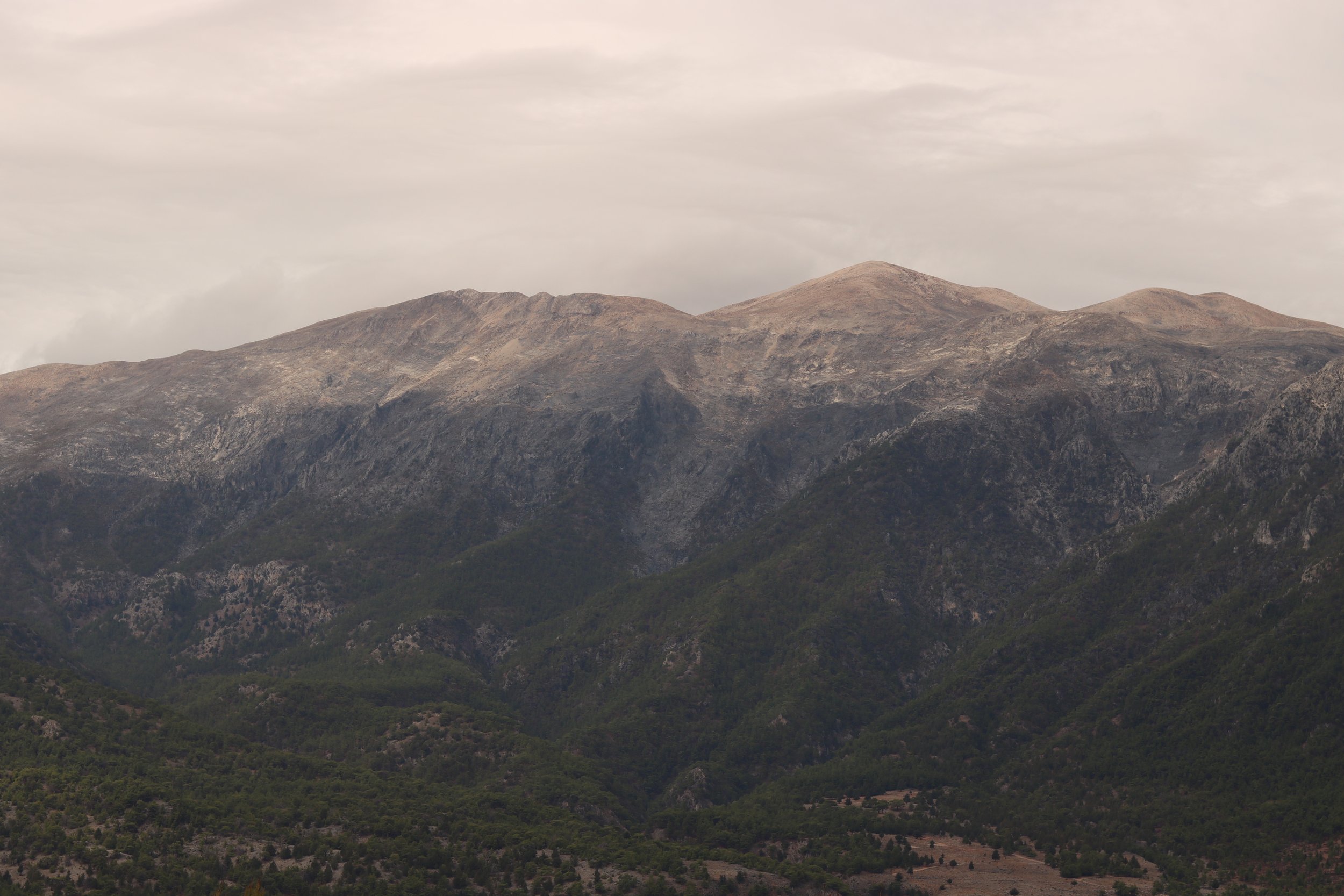 Berglandschaft mit bewaldeten Hängen und felsigen Gipfeln unter einem bewölkten Himmel.