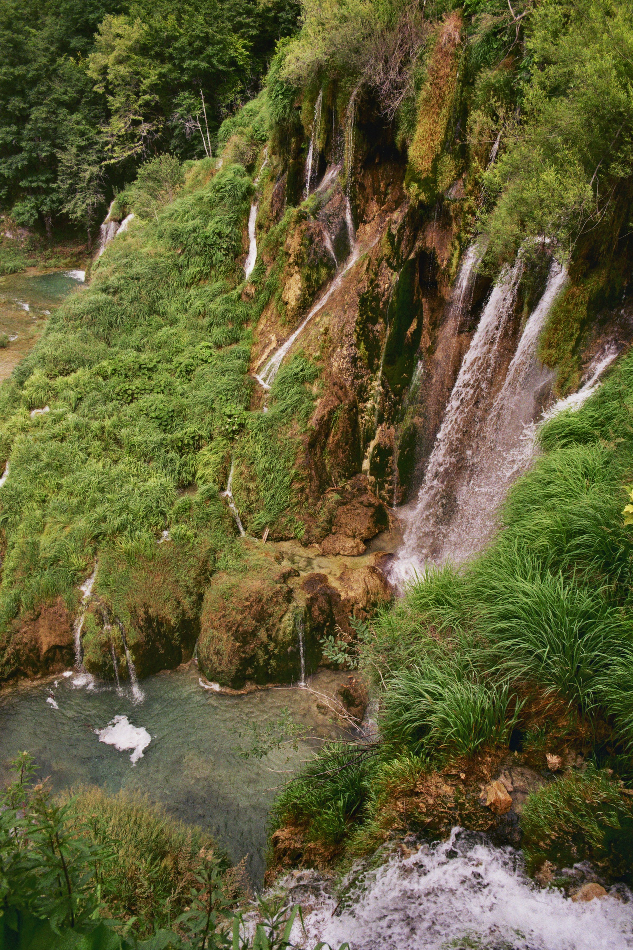 Mehrere kleine Wasserfälle in einem dicht bewachsenen Waldgebiet.