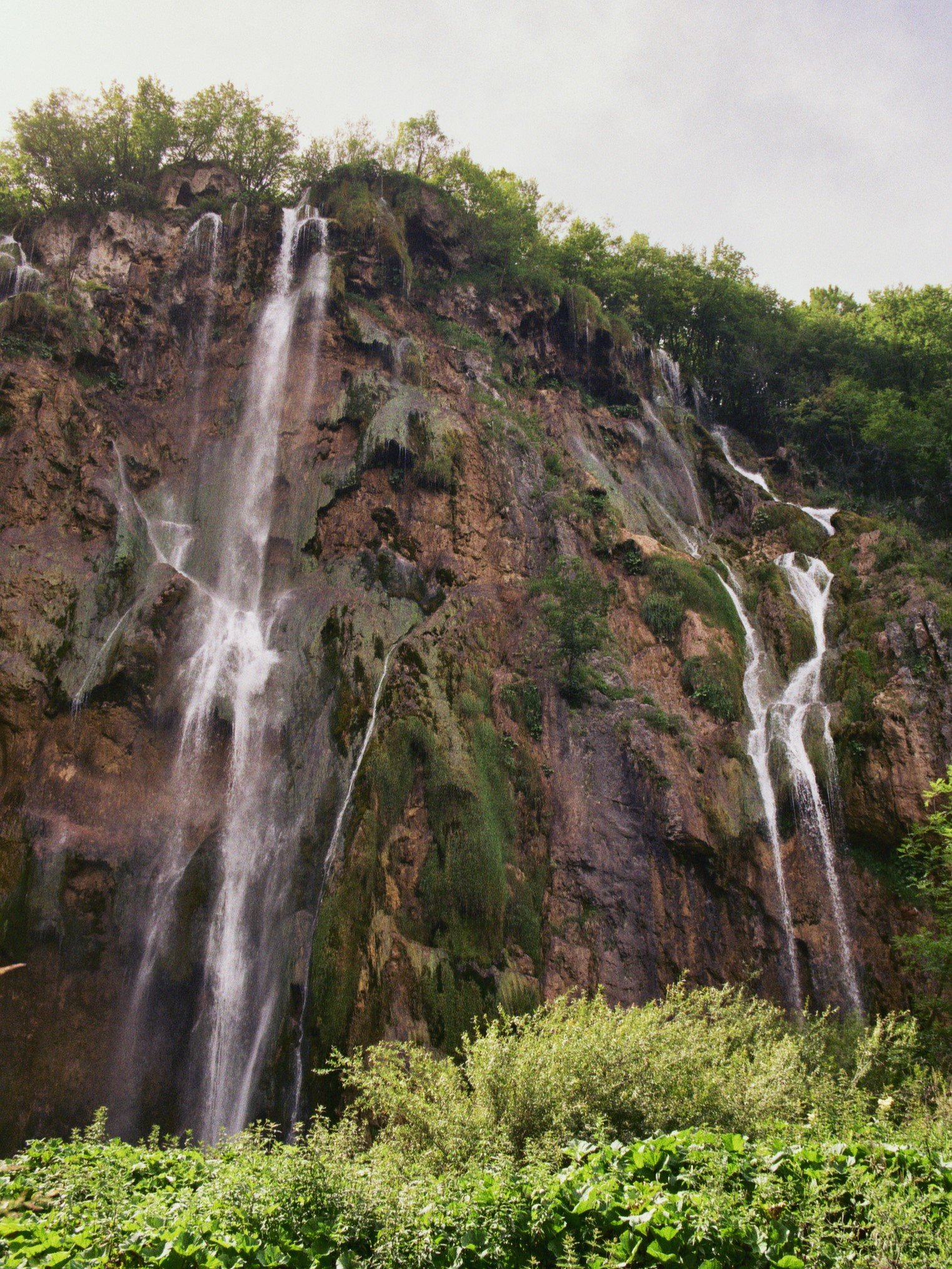 Mehrere Wasserfälle auf steiler Felswand, umgeben von grünen Bäumen und Sträuchern.