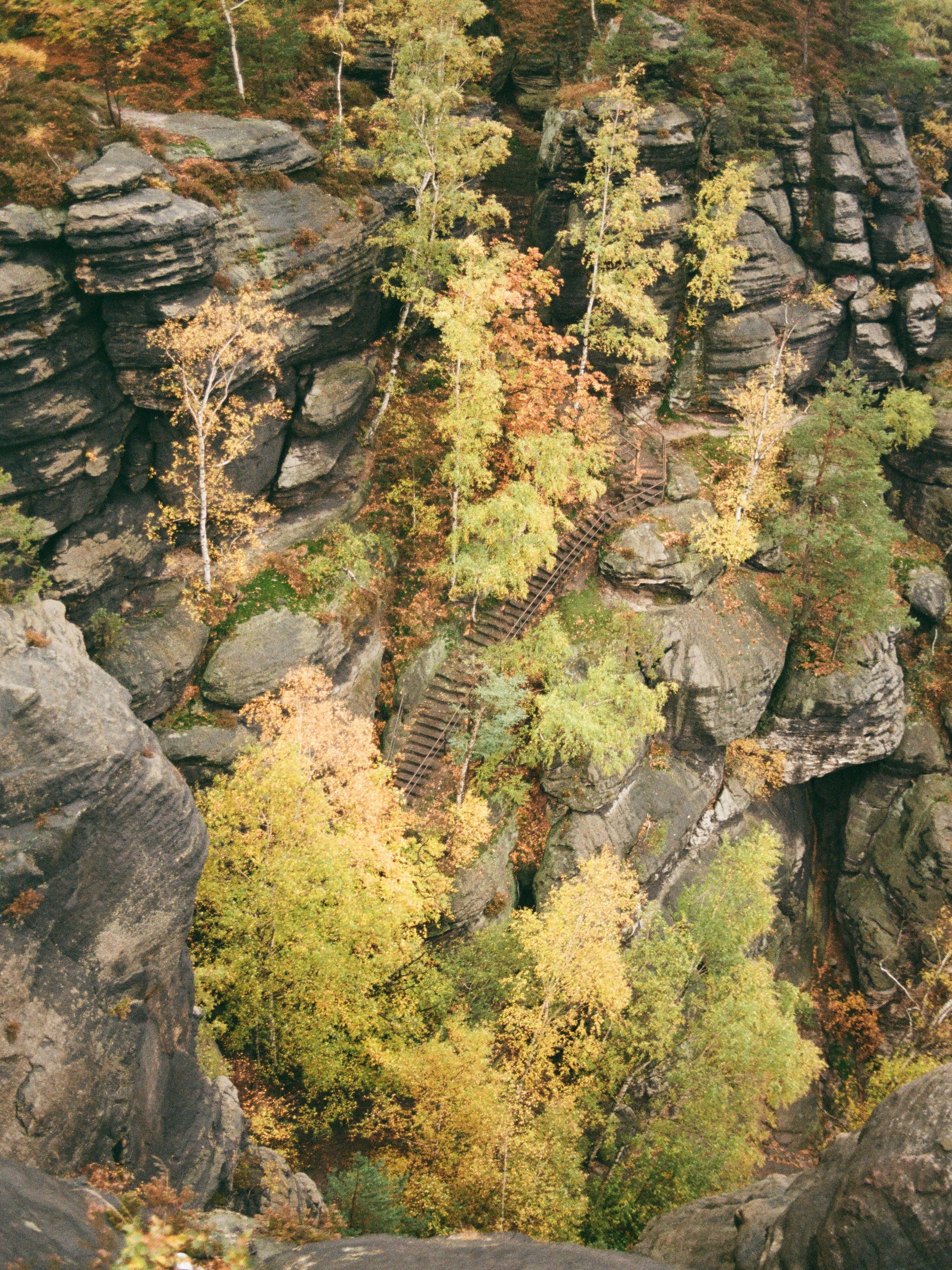 Felsiger Canyon mit steilen Felsen, Bäumen mit herbstlichen Blättern, und einer Treppe, die den Hang hinauf führt.
