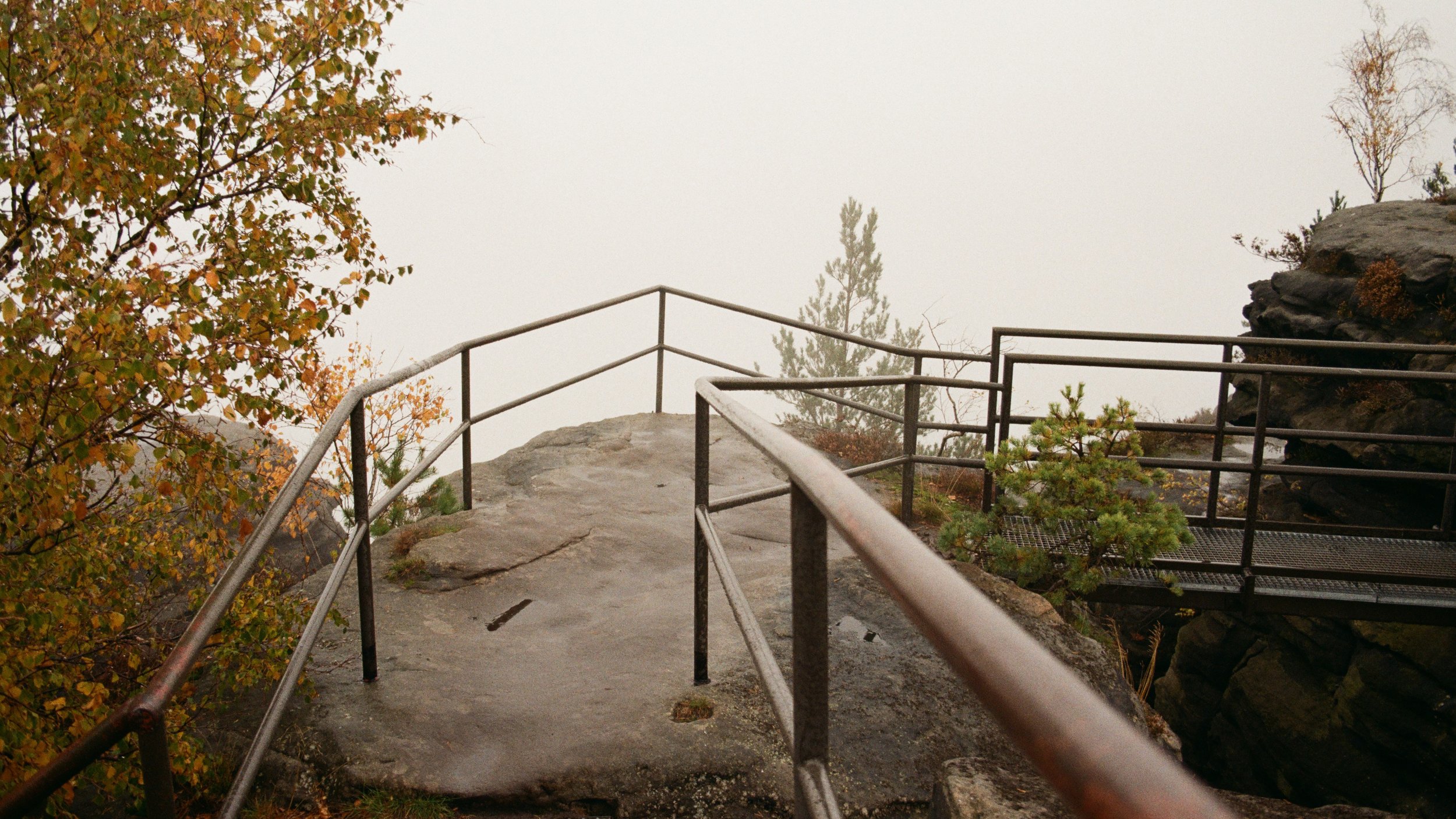 Weg mit Geländer auf einem Felsen im Nebel, umgeben von Bäumen mit Herbstlaub.