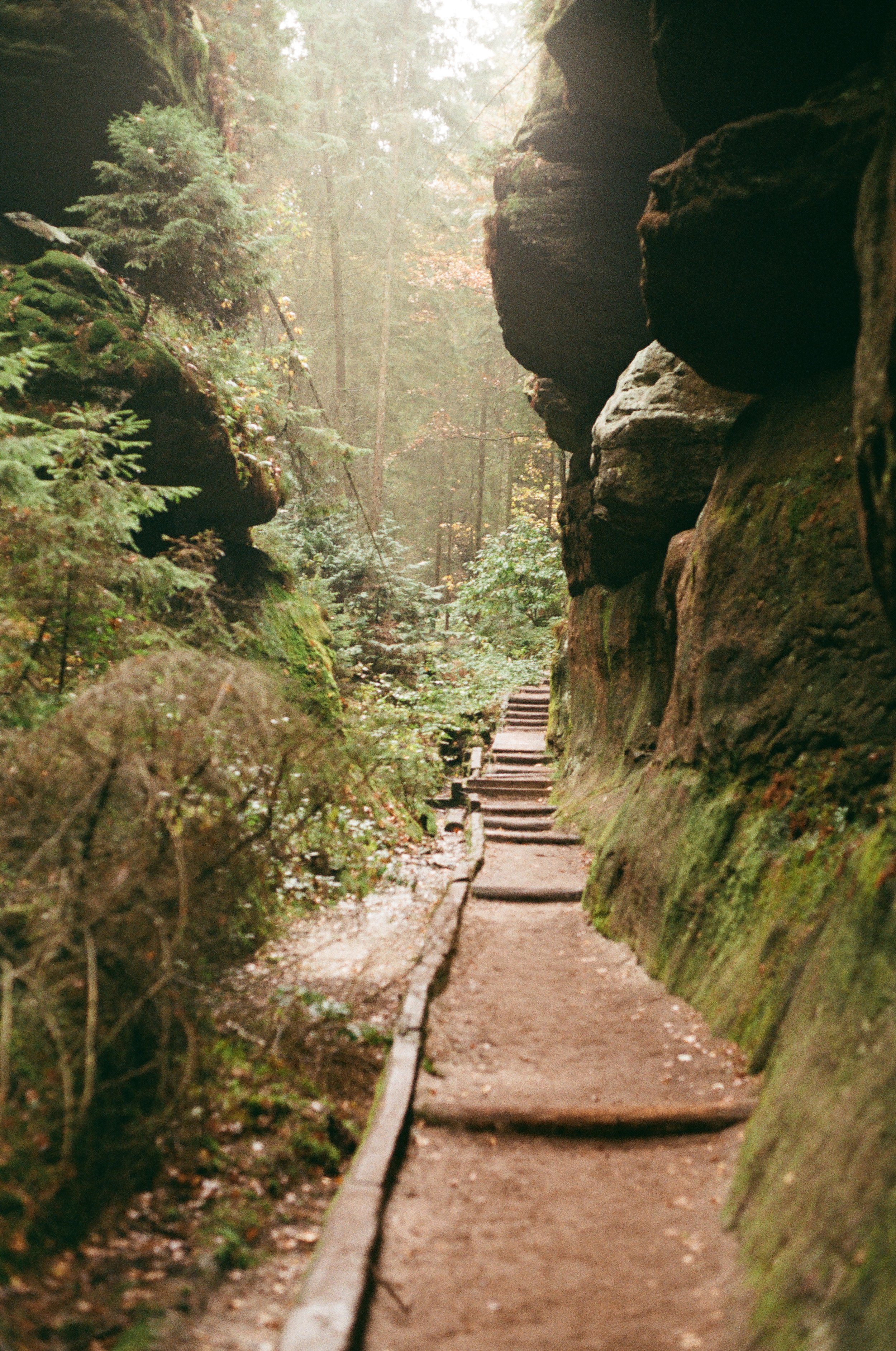 Wanderweg durch einen bewaldeten Canyon mit Felsen und Stufen aus Holz, umgeben von grünen Bäumen und Moos bedeckten Steinen.