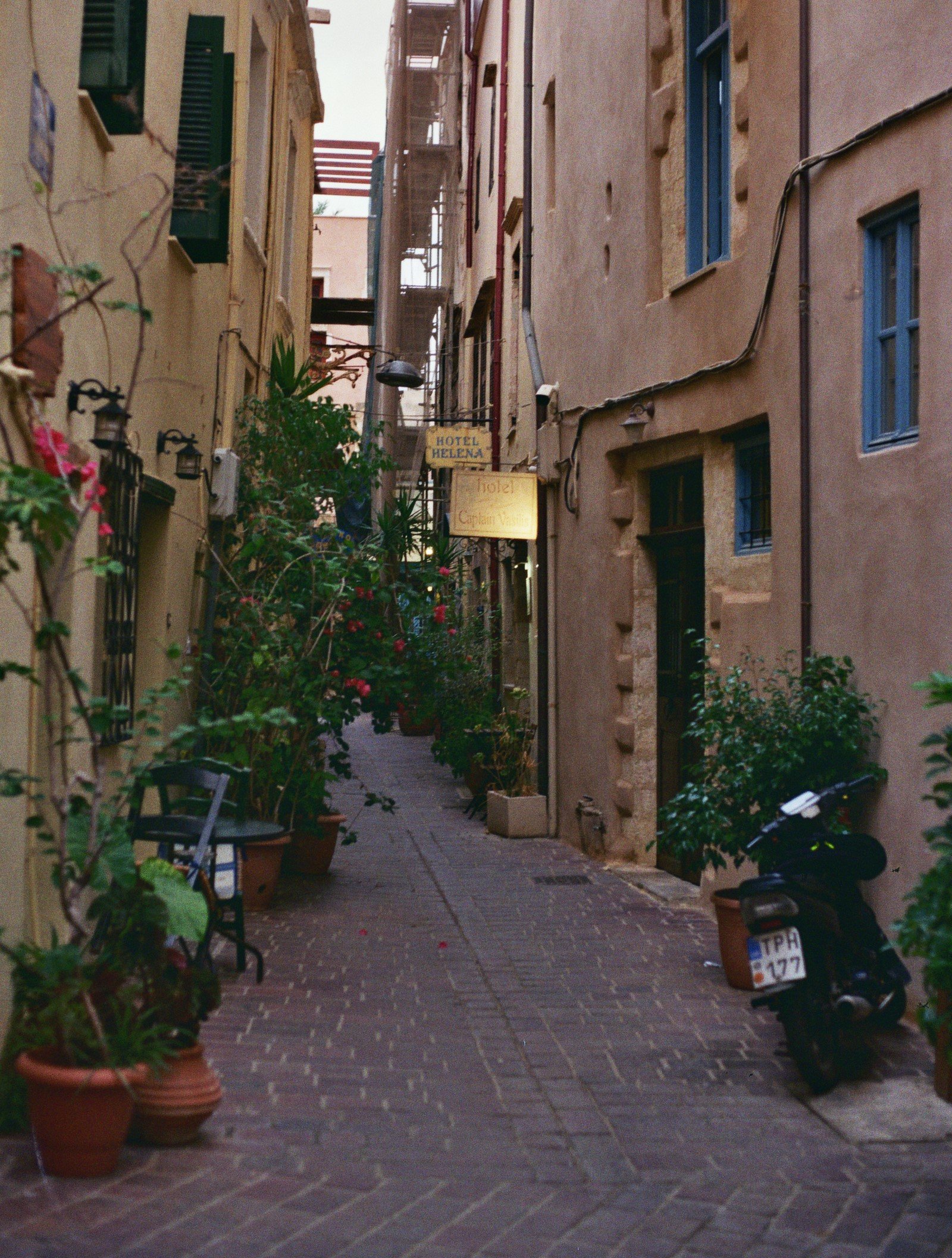 Schmale, gepflasterte Gasse in einer Altstadt mit Blumen und Pflanzen, Schildern und einem Motorroller.