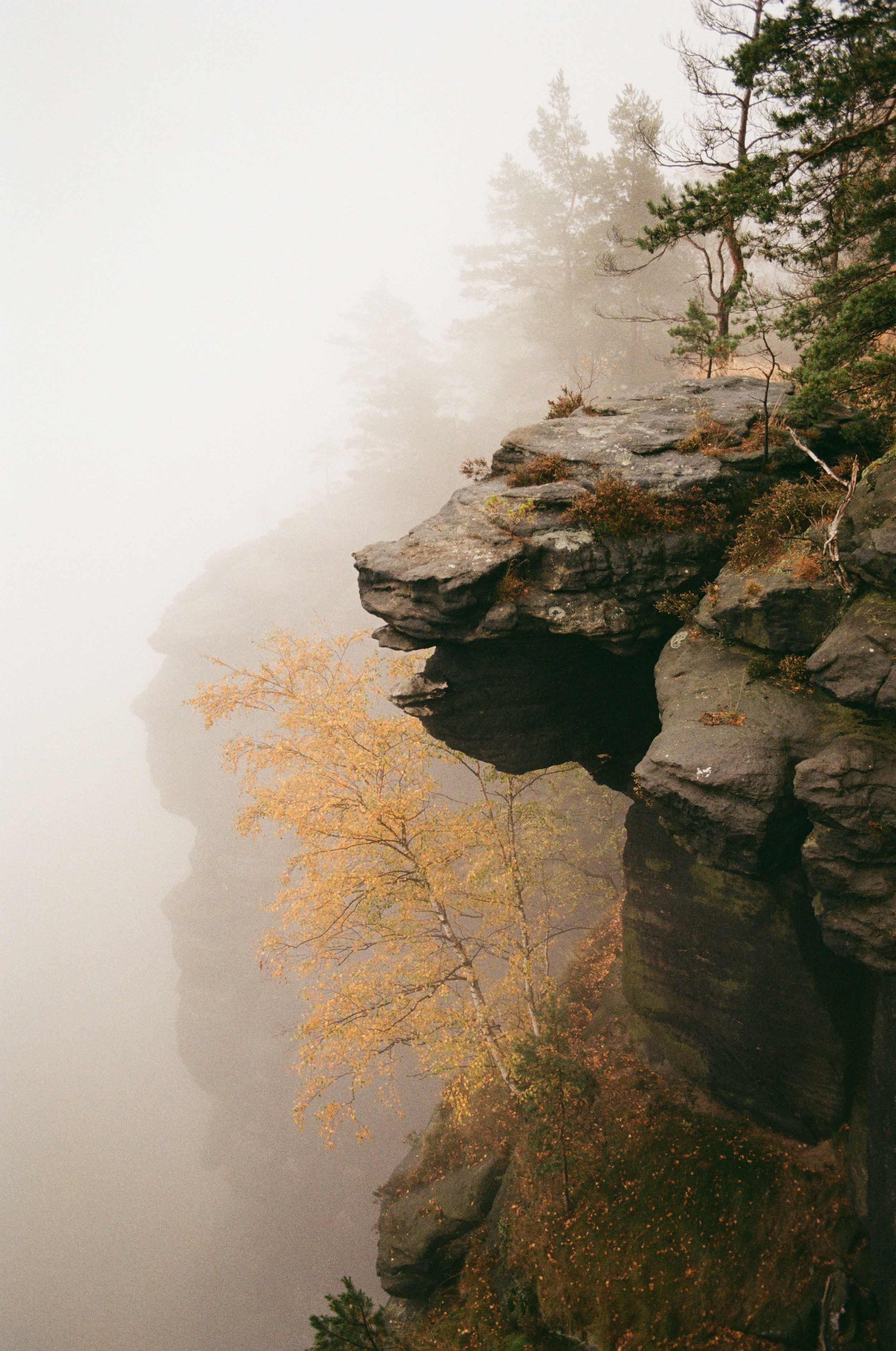 Felsformation an einer Klippe, umgeben von Nebel, mit Bäumen in Herbstfarben.