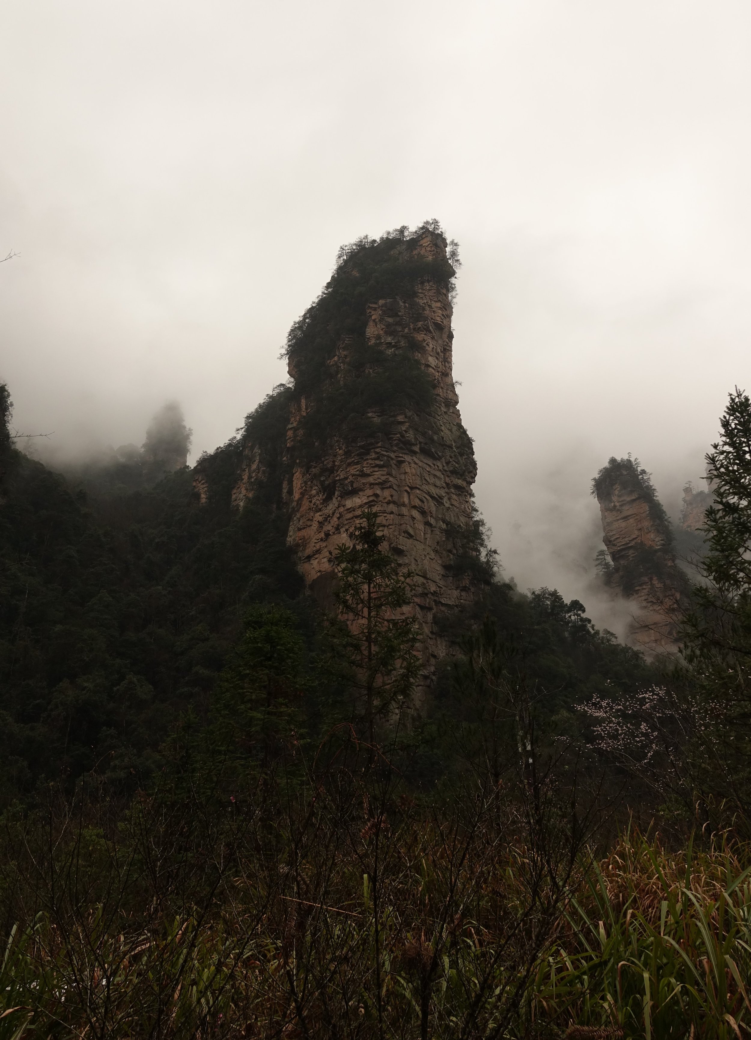 Felsformationen in Nebel gehüllt, umgeben von Wald, in den Wolken