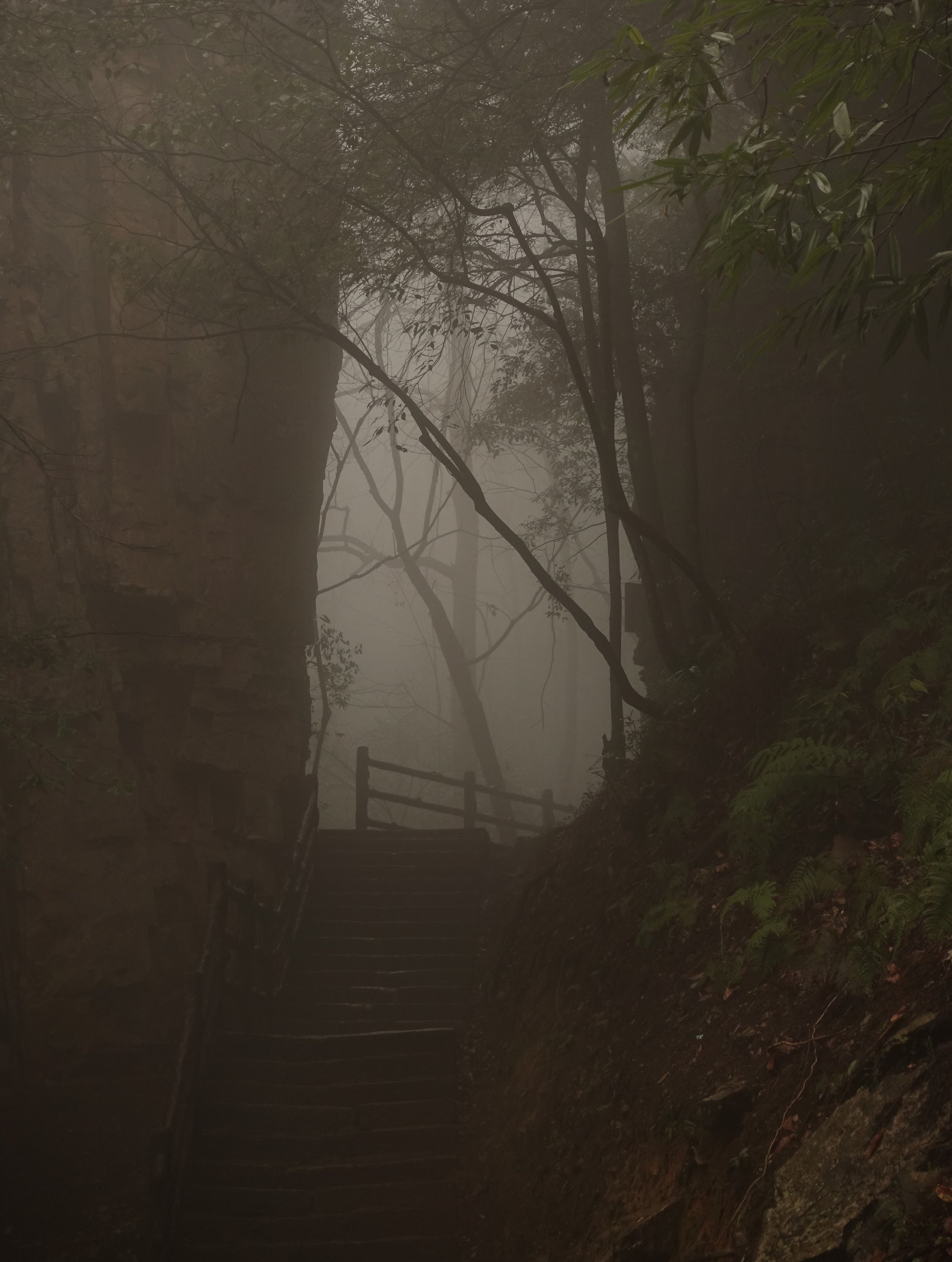 Dunkler, nebliger Waldweg mit Treppe und Handläufen, umgeben von Bäumen und Felsen.