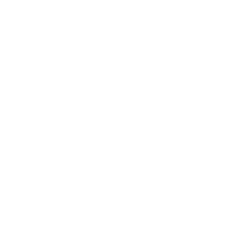 WITNESS