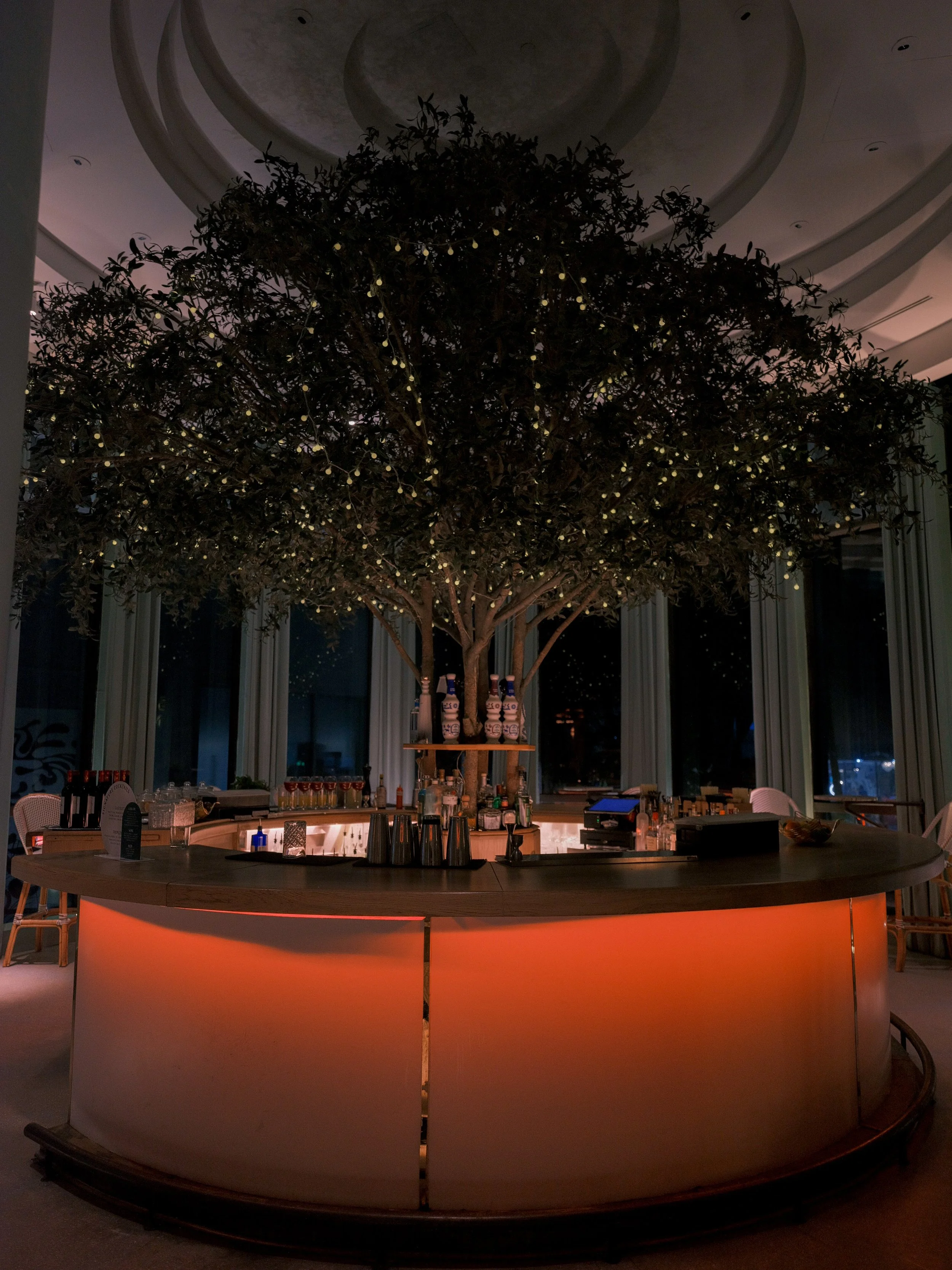 0437 MICHAEL and ANNA COSTA PHOTOGRAPHY.JPG