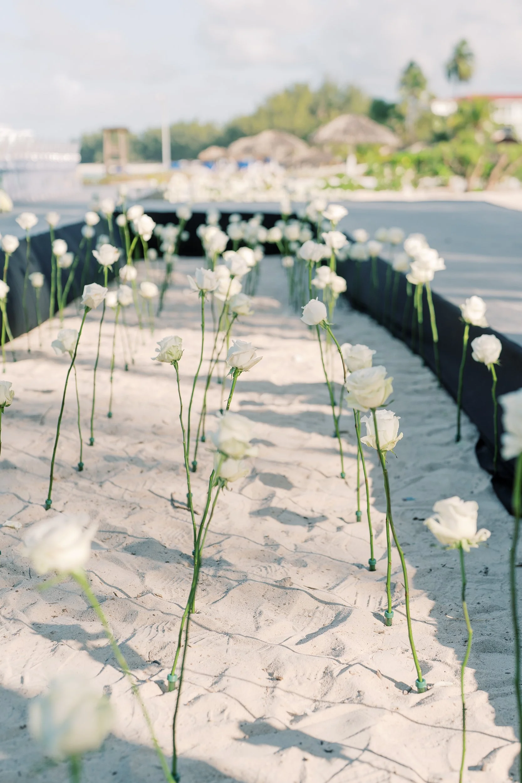 Bahamas WEDDINGS - A Good Affair Destination Wedding Planning 7 (5).jpg
