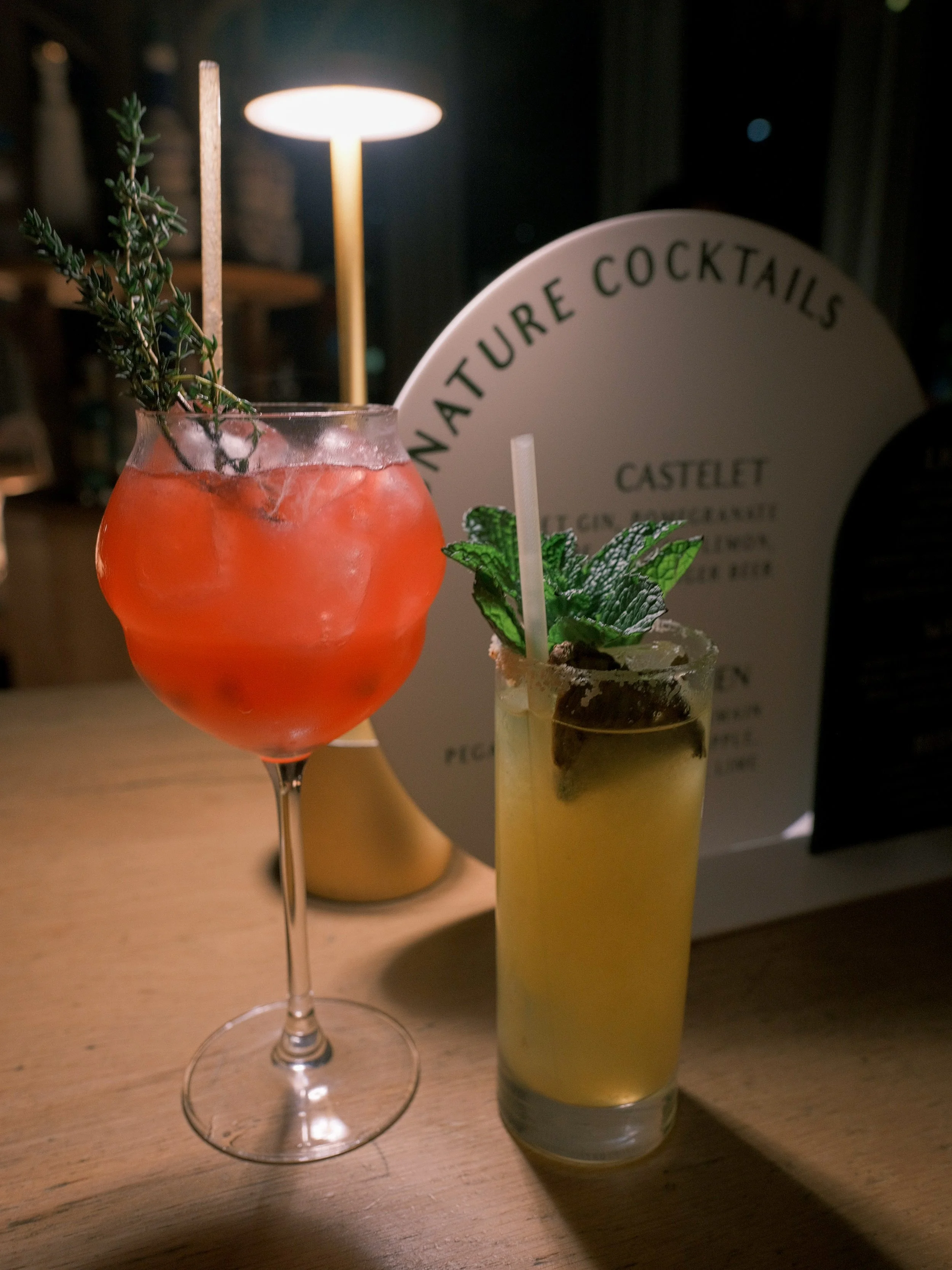 0484 MICHAEL and ANNA COSTA PHOTOGRAPHY.JPG